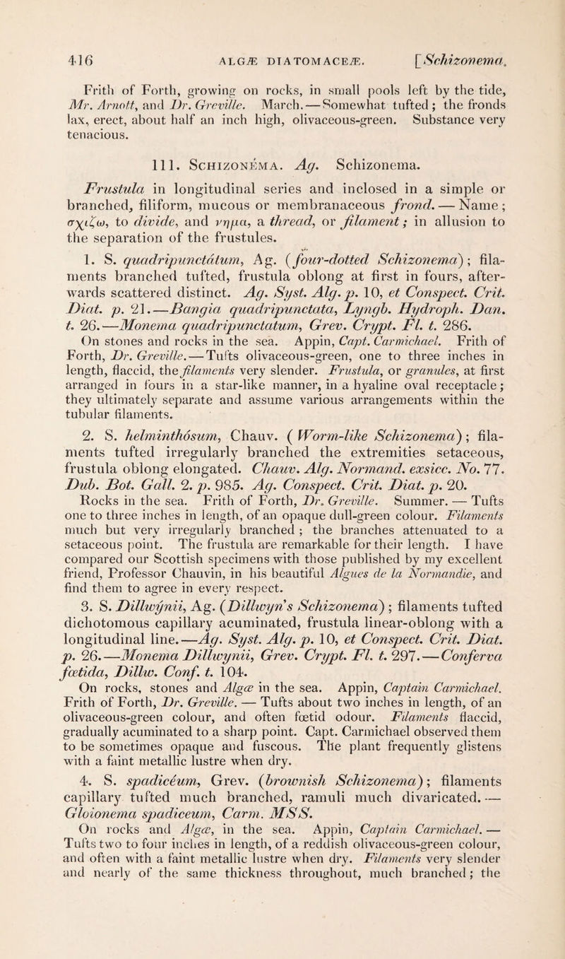 Frith of Forth, growing on rocks, in small pools left by the tide, Mr. Arnot.t, and I)r. Greville. March. — Somewhat tufted ; the fronds lax, erect, about half an inch high, olivaceous-green. Substance very tenacious. 111. Schizonema. Ag. Schizonema. Frustula in longitudinal series and inclosed in a simple or branched, filiform, mucous or membranaceous frond. — Name; rr-^i^oj, to divide, and vr]pci, a thread, or filament; in allusion to the separation of the frustules. 1. S. qucidripunctdtum, Ag. (four-dotted Schizonema) ; fila¬ ments branched tufted, frustula oblong at first in fours, after¬ wards scattered distinct. Ag. Syst. Alg. p. 10, et Conspect. Crii. Fiat. p. 21_Bangia quadripunctata, Lyngb. Hydroph. Fan. t. 26.—Monema quadripimclatum, Grev. Crypt. FI. t. 286. On stones and rocks in the sea. Appin, Capt. Carmichael. Frith of Forth, Fr. Greville. — Tufts olivaceous-green, one to three inches in length, flaccid, the filaments very slender. Frustula, or granules, at first arranged in lours in a star-like manner, in a hyaline oval receptacle; they ultimately separate and assume various arrangements within the tubular filaments. 2. S. helminthosum, Chauv. (Worm-like Schizonema')', fila¬ ments tufted irregularly branched the extremities setaceous, frustula oblong elongated. Chauv. Alg. Normand. exsicc. No. 77. Fub. Bot. Gall. 2. p. 985. Ag. Conspect. Crit. Fiat. p. 20. Rocks in the sea. Frith of Forth, Fr„ Greville. Summer. — Tufts one to three inches in length, of an opaque dull-green colour. Filaments much but very irregularly branched ; the branches attenuated to a setaceous point. The frustula are remarkable for their length. I have compared our Scottish specimens with those published by my excellent friend, Professor Chauvin, in his beautiful Algues de la Normandie, and find them to agree in every respect. 3. S. Fillwynii, Ag. (Fillwyn s Schizonema) ; filaments tufted dichotomous capillary acuminated, frustula linear-oblong with a longitudinal line.—Ag. Syst. Alg. p. 10, et Conspect. Crit. Fiat, p. 26.—Monema Fillwynii Grev. Crypt. FI. t. 297. — Conferva fcetida, Fillw. Conf. t. 104. On rocks, stones and Algae in the sea. Appin, Captain Carmichael. Frith of Forth, Fr. Greville. — Tufts about two inches in length, of an olivaceous-green colour, and often foetid odour. Filaments flaccid, gradually acuminated to a sharp point. Capt. Carmichael observed them to be sometimes opaque and fuscous. The plant frequently glistens with a faint metallic lustre when dry. 4. S. spadiceum, Grev. (brownish Schizonema); filaments capillary tufted much branched, ramuli much divaricated.— Gloionema spadiceum, Carm. MSS. On rocks and Algcc, in the sea. Appin, Captain Carmichael. — Tufts two to four inches in length, of a reddish olivaceous-green colour, and often with a faint metallic lustre when dry. Filaments very slender and nearly of the same thickness throughout, much branched ; the