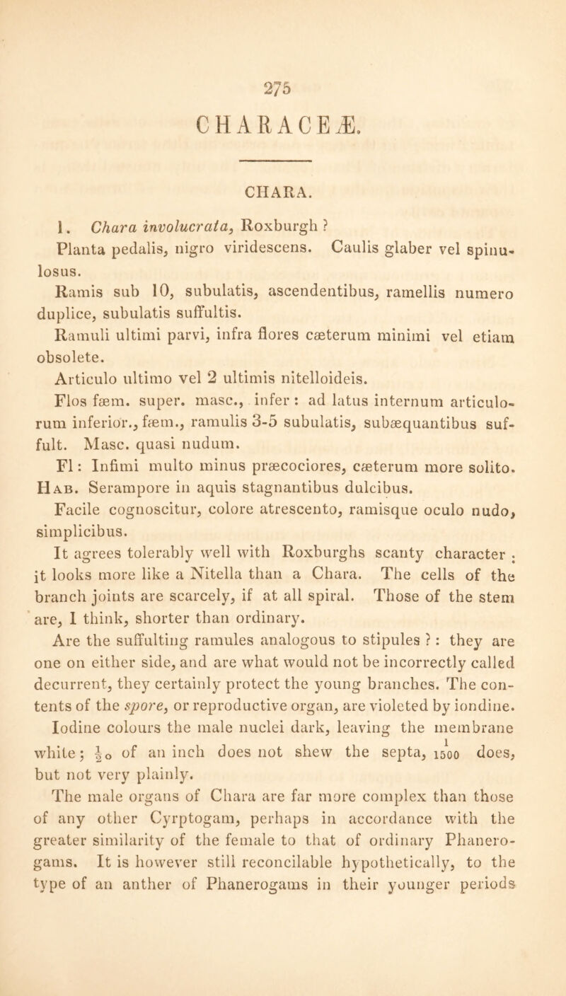 CHARACEiE. CHARA. 1. Char a involucrata, Roxburgh ? Planta pedalis, nigro viridescens. Caulis glaber vel spinu- losus. Ramis sub 10, subulatis, ascendentibus, ramellis numero duplice, subulatis suffultis. Ramuli ultimi parvi, infra flores caeterum minimi vel etiam obsolete. Articulo ultimo vel 2 ultimis nitelloideis. Flos fsem. super, masc., infer: ad latus internum articulo- rum inferior., faem., ramulis 3-5 subulatis, subaequantibus suf- fult. Masc. quasi nudum. FI: Infimi multo minus praecociores, caeterum more solito. Hab. Serampore in aquis stagnantibus dulcibus. Facile cognoscitur, colore atrescento, ramisque oculo nudo, simplicibus. It agrees tolerably well with Roxburghs scanty character ; it looks more like a Nitella than a Chara. The cells of the branch joints are scarcely, if at all spiral. Those of the stem are, 1 think, shorter than ordinary. Are the suffulting ramules analogous to stipules ?: they are one on either side, and are what would not be incorrectly called decurrent, they certainly protect the young branches. The con- tents of the spore, or reproductive organ, are violeted by iondine. Iodine colours the male nuclei dark, leaving the membrane white; Jo of an inch does not shew the septa, 1500 does, but not very plainly. The male organs of Chara are far more complex than those of any other Cyrptogam, perhaps in accordance with the greater similarity of the female to that of ordinary Phanero- gams. It is however still reconcilable hypothetically, to the type of an anther of Phanerogams in their younger periods