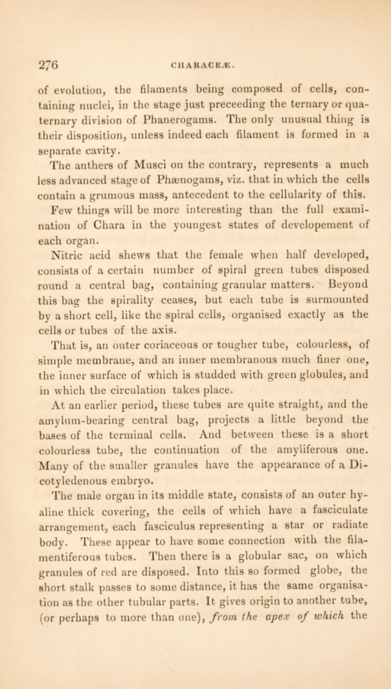 of evolution, the filaments being composed of cells, con- taining nuclei, in the stage just preceeding the ternary or qua- ternary division of Phanerogams. The only unusual thing is their disposition, unless indeed each filament is formed in a separate cavity. The anthers of Musci on the contrary, represents a much less advanced stage of Phaenogams, viz. that in which the cells contain a grumous mass, antecedent to the cellularity of this. Few things will be more interesting than the full exami- nation of Chara in the youngest states of developement of each organ. Nitric acid shews that the female when half developed, consists of a certain number of spiral green tubes disposed round a central bag, containing granular matters. Beyond this bag the spirality ceases, but each tube is surmounted by a short cell, like the spiral cells, organised exactly as the cells or tubes of the axis. That is, an outer coriaceous or tougher tube, colourless, of simple membrane, and an inner membranous much finer one, the inner surface of which is studded with green globules, and in which the circulation takes place. At an earlier period, these tubes are quite straight, and the amylum-bearing central bag, projects a little beyond the bases of the terminal cells. And between these is a short colourless tube, the continuation of the amyliferous one. Many of the smaller granules have the appearance of a Di- cotyledenous embryo. The male organ in its middle state, consists of an outer hy- aline thick covering, the cells of which have a fasciculate arrangement, each fasciculus representing a star or radiate body. These appear to have some connection with the fila- mentiferous tubes. Then there is a globular sac, on which granules of red are disposed. Into this so formed globe, the short stalk passes to some distance, it has the same organisa- tion as the other tubular parts. It gives origin to another tube, (or perhaps to more than one), from the apex of which the