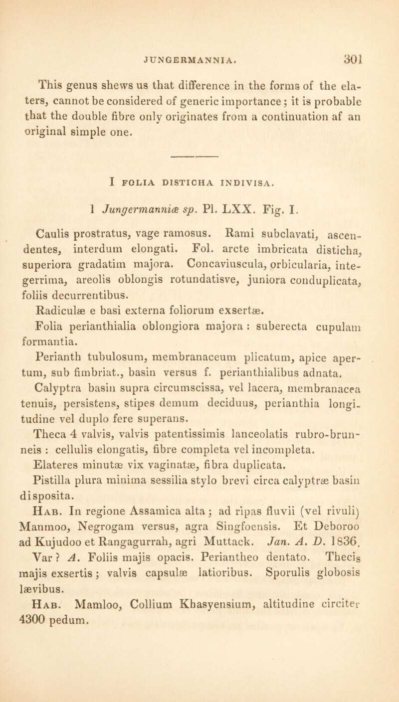 This genus shews us that difference in the forms of the ela- ters, cannot be considered of generic importance; it is probable that the double fibre only originates from a continuation af an original simple one. I FOLIA DISTICHA INDIVISA. 1 J unger manniae sp. PI. LXX. Fig. I. Caulis prostratus, vage ramosus. Rami subclavati, ascen- dentes, interdum elongati. Fol. arete imbricata disticha, superiora gradatim majora. Concaviuscula, orbicularia, inte- gerrima, areolis oblongis rotundatisve, juniora conduplicata, foliis decurrentibus. Radiculae e basi externa foliorum exsertse. Folia perianthialia oblongiora majora : suberecta cupulam formantia. Perianth tubulosum, membranaceum plicatum, apice aper- tum, sub fimbriat., basin versus f. perianthialibus adnata. Calyptra basin supra circumscissa, vel lacera, membranacea tenuis, persistens, stipes demum deciduus, perianthia longi- tudine vel duplo fere superans. Theca 4 valvis, valvis patentissimis lanceolatis rubro-brun- neis : cellulis elongatis, fibre completa vel incompleta. Elateres minutae vix vaginatse, fibra duplicata. Pistilla plura minima sessilia stylo brevi circa calyptrae basin disposita. Hab. In regione Assamica alta; ad ripas fluvii (vel rivuli) Manmoo, Negrogam versus, agra Singfoensis. Et Deboroo ad Kujudoo et Rangagurrah, agri Muttack. Jan. A. D. 1836, Yar ? A. Foliis majis opacis. Periantheo dentato. Thecis majis exsertis; valvis capsulae latioribus. Sporulis globosis laevibus. Hab. Mamloo, Collium Kbasyensium, altitudine circiter 4300 pedum.