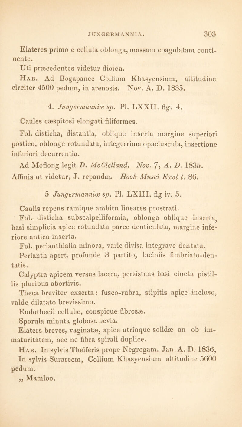 Elateres primo e cellula oblonga, massam coagulutam conti- nente. Uti praecedentes videtur dioica. Hab. Ad Bogapanee Collium Khasyensium, altitudine circiter 4500 pedum, in arenosis. Nov. A. D. 1835* 4. Jungermamdce sp. PI. LXXII. fig. 4. Caules caespitosi elongati filiformes. Fol. disticha, distantia, oblique inserta margine superior! postico, oblonge rotundata, integerrima opaciuscula, insertione inferiori decurrentia. Ad Moflong legit D. McClelland. Nov. 7? A. D. 1835. Affinis ut videtur, J. repandae. Hook Musci Exot t. 86. 5 Jangermannice sp. PI. LXIII. fig iv. 5. Caulis repens ramique ambitu lineares prostrati. Fol. disticha subscalpelliformia, oblonga oblique inserta basi siniplicia apice rotundata parce denticulata, margine infe- riore antica inserta. Fol. perianthialia minora, varie divisa integrave dentata. Perianth apert. profunde 3 partito, laciniis fimbriato-den- tatis. Calyptra apicem versus lacera, persistens basi cincta pistil- lis pluribus abortivis. Theca breviter exserta: fusco-rubra, stipitis apice incluso, valde dilatato brevissimo. Endothecii cellulae, conspicue fibrosse. Sporula minuta globosa laevia. Elaters breves, vaginatse, apice utrinque solidae an ob im- maturitatem, nec ne fibra spiral! duplice. H ab. In sylvis Theiferis prope Negrogam. Jan. A. D. 1836, In sylvis Surareem, Collium Khasyensium altitudine 5600 pedum. „ Mamloo.
