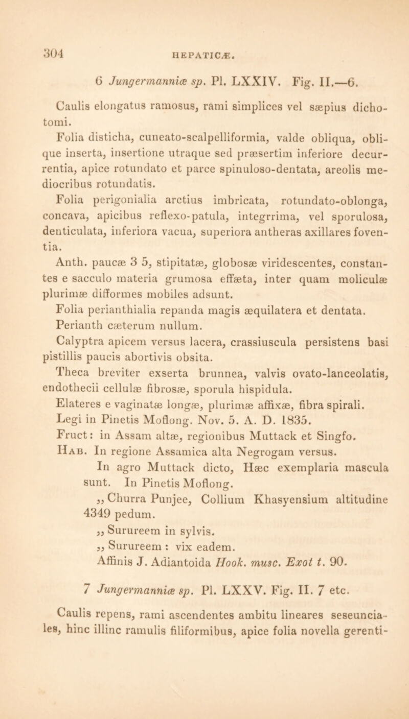 0 Jungermannice sp. PI. LXXIV. Fig. II.—6. Caulis elongatus ratnosus, rami simplices vel saepius dicho- tomi. Folia disticha, cuneato-scalpelliformia, valde obliqua, obli- que inserta, insertione utraque sed praesertim iuferiore decur- rentia, apice rotundato et parce spinuloso-dentata, areolis me- diocribus rotundatis. Folia perigoniaiia arctius imbricata, rotundato-oblonga, concava, apicibus reflexo-patula, integrrima, vel sporulosa, denticulata, inferiora vacua, superiora antheras axillares foven- tia. Anth. paucae 3 5, stipitatae, globosae viridescentes, constan- tes e sacculo materia grumosa effaeta, inter quam moliculae plurimae difformes mobiles adsunt. Folia perianthialia repanda magis aequilatera et dentata. Perianth caeterum nullum. Calyptra apicem versus lacera, crassiuscula persistens basi pistillis paucis abortivis obsita. Theca breviter exserta brunnea, valvis ovato-lanceolatis, endothecii cellulae fibrosae, sporula hispidula. Elateres e vaginatae longae, plurimae affixae, fibra spirali. Legi in Pinetis Moflong. Nov. 5. A. D. 1835. Fruct: in Assam altae, regionibus Muttack et Singfo. Hab. In regione Assamica alta Negrogam versus. In agro Muttack dicto, Iiaec exemplaria mascula sunt. In Pinetis Moflong. Churra Punjee, Collium Khasyensium altitudine 4349 pedum. 33 Surureem in sylvis. 33 Surureem : vix eadem. Affinis J. Adiantoida Hook. muse. Exot t. 90. 7 Jungermannice sp. PI. LXXV. Fig. II. 7 etc. Caulis repens, rami ascendentes ambitu lineares seseuncia- les, hinc illinc ramulis filiformibus, apice folia novella gerenti-