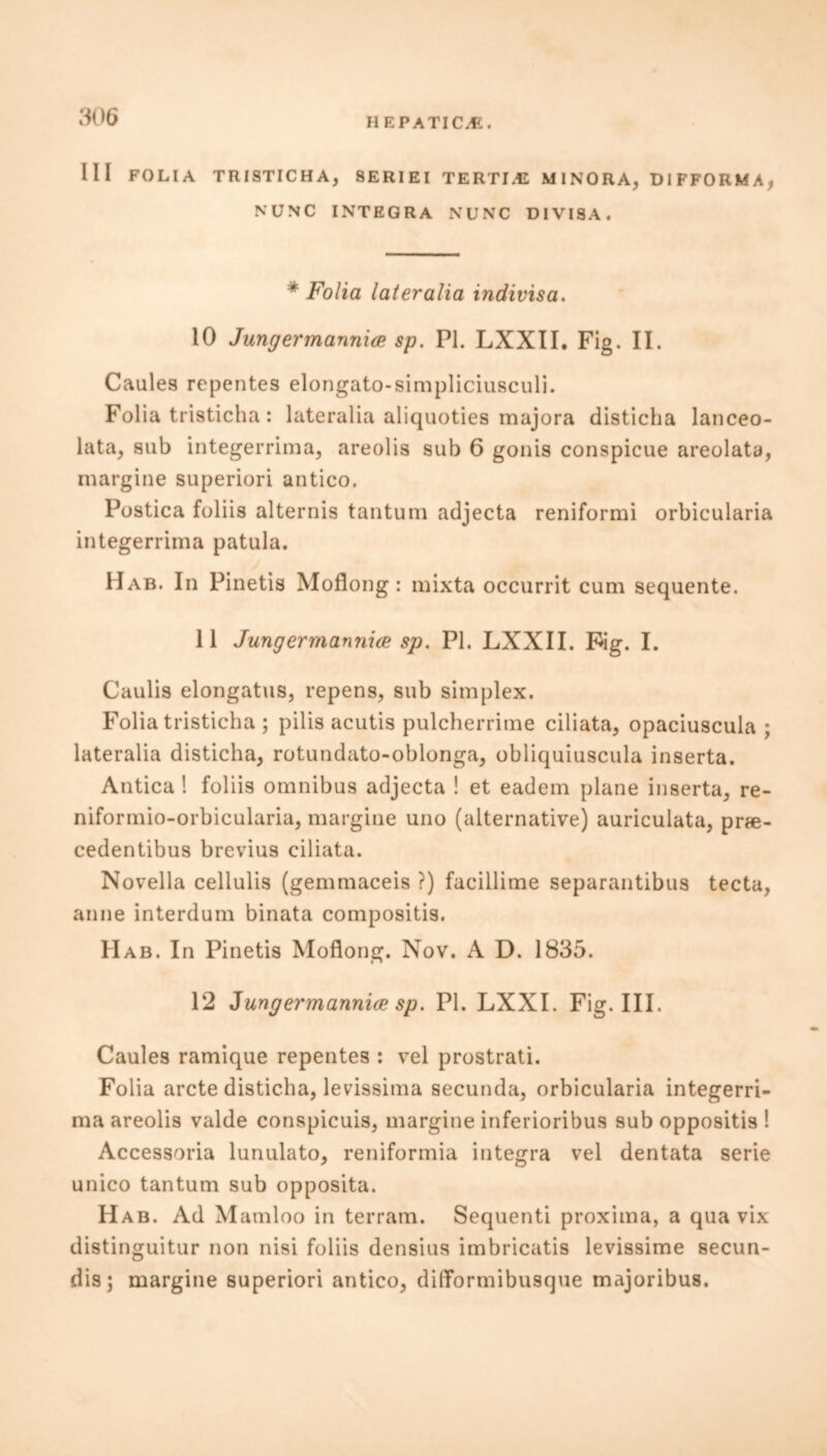 Ill FOLIA TRISTICHA, 8ERIEI TERTI/E MINORA, DIFFORMA, NUNC INTEGRA NUNC DIVISA. * Folia lateralia indivisa. 10 Jungermannia sp. PI. LXXII. Fig. II. Caules repentes elongato-simpliciusculi. Folia tristicha: lateralia aliquoties majora disticha lanceo- lata, sub integerrima, areolis sub 6 gonis conspicue areolata, margine superiori antico. Postica foliis alternis tantum adjecta reniformi orbicularia integerrima patula. Hab. In Pinetis Moflong: mixta occurrit cum sequente. 11 Jungermannice sp. PI. LXXII. Fig. I. Caulis elongatus, repens, sub simplex. Folia tristicha ; pills acutis pulcherrime ciliata, opaciuscula ; lateralia disticha, rotundato-oblonga, obliquiuscula inserta. Antica ! foliis omnibus adjecta ! et eadem plane inserta, re- niformio-orbicularia, margine uno (alternative) auriculata, prse- cedentibus brevius ciliata. Novella cellulis (gemmaceis ?) facillime separantibus tecta, anne interdum binata compositis. Hab. In Pinetis Moflong. Nov. A D. 1835. 12 Zungermannia sp. PI. LXXI. Fig. III. Caules ramique repentes : vel prostrati. Folia arete disticha, levissima secunda, orbicularia integerri- ma areolis valde conspicuis, margine infei ioribus sub oppositis ! Accessoria lunulato, reniformia integra vel dentata serie unico tantum sub opposita. Hab. Ad Mamloo in terram. Sequent*! proxima, a qua vix distinguitur non nisi foliis densius imbricatis levissime secun- dis; margine superiori antico, ditTormibusque majoribus.