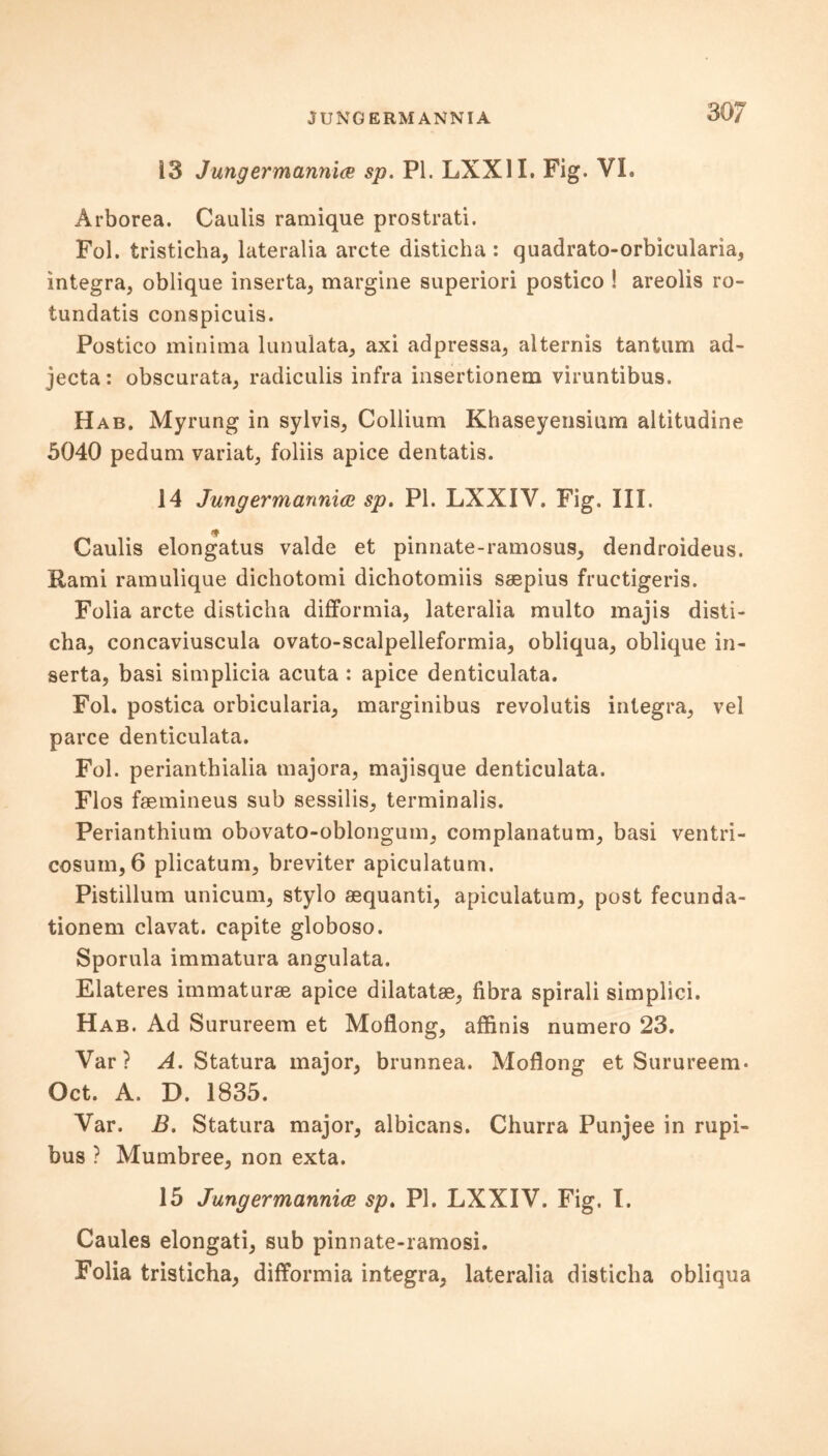 30 7 13 Jungermann'm sp. PI. LXX1I. Fig. VI. Arborea. Caulis ramique prostrati. Fol. tristicha, lateralia arete disticha : quadrato-orbicularia, Integra, oblique inserta, margine superiori postico ! areolis ro- tundatis conspicuis. Postico minima lunulata, axi adpressa, alternis tantum ad- jecta: obscurata, radiculis infra insertionem viruntibus. Hab. Myrung in sylvis, Collium Khaseyensium altitudine 5040 pedum variat, foliis apice dentatis. 14 Jungermannicc sp. PI. LXXIV. Fig. III. /f Caulis elongatus valde et pinnate-ramosus, dendroideus. Rami ramulique dichotomi dichotomiis saepius fructigeris. Folia arete disticha difformia, lateralia multo majis disti- cha, concaviuscula ovato-scalpelleformia, obliqua, oblique in- serta, basi simplicia acuta : apice denticulata. Fol. postica orbicularia, marginibus revolutis integra, vel parce denticulata. Fol. perianthialia tnajora, majisque denticulata. Flos faemineus sub sessilis, terminalis. Perianthium obovato-oblongum, complanatum, basi ventri- cosuin,6 plicatum, breviter apiculatum. Pistillum unicum, stylo sequanti, apiculatum, post fecunda- tionem clavat. capite globoso. Sporula immatura angulata. Elateres itnmaturae apice dilatatae, fibra spirali simplici. Hab. Ad Surureem et Moflong, affinis numero 23. Var? A. Statura major, brunnea. Moflong et Surureem. Oct. A. D. 1835. Var. B. Statura major, albicans. Churra Punjee in rupi- bus ? Mumbree, non exta. 15 Jungermannice sp. PI. LXXIV. Fig. I. Caules elongati, sub pinnate-ramosi. Folia tristicha, difformia integra, lateralia disticha obliqua