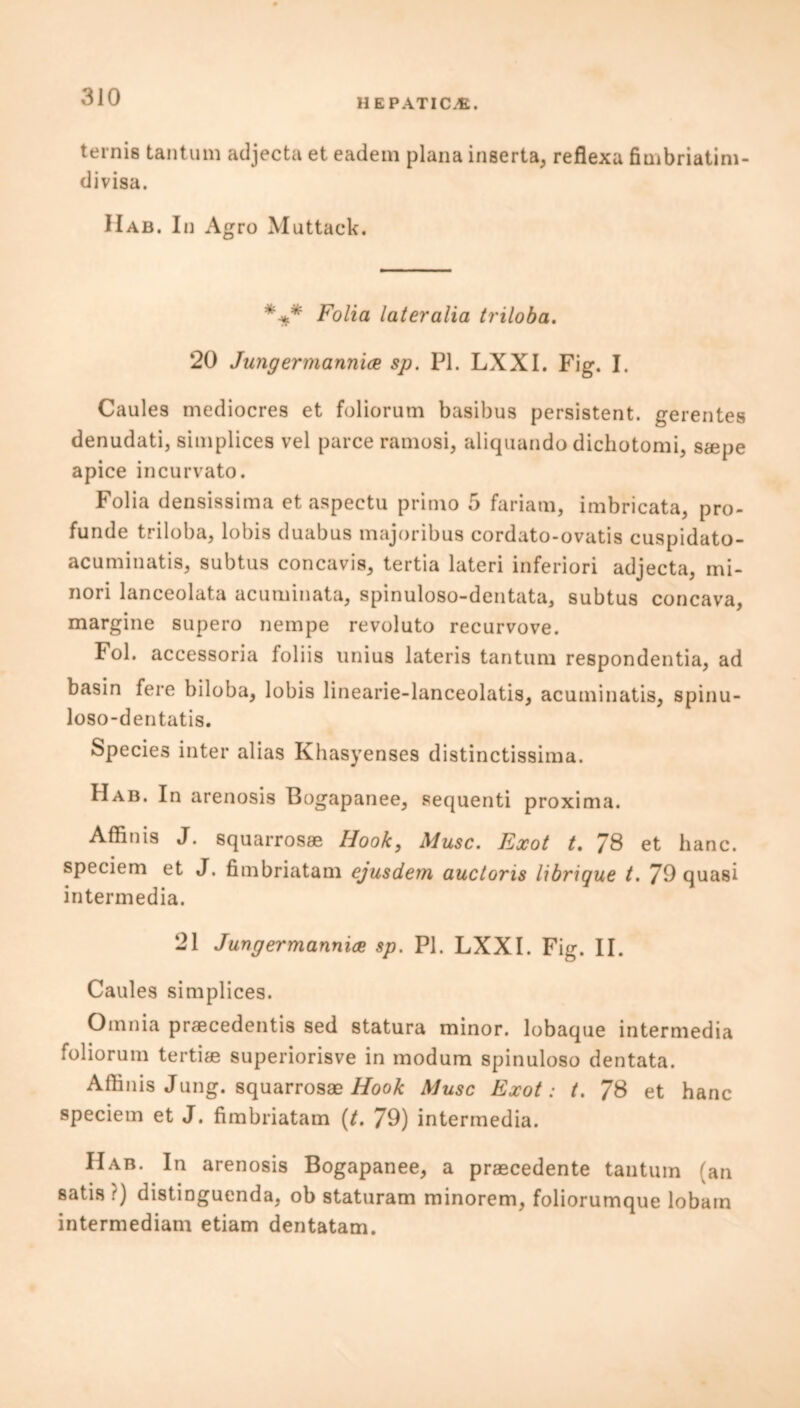 HEPATIC.®.. ternis tantum adjecta et eadem plana inserta, reflexa fiuibriatim- divisa. Hab. In Agro Muttack. *-** Folia lateralia triloba. 20 Jungermannice sp. PI. LXXI. Fig. I. Caules mediocres et foliorum basibus persistent, gerentes denudati, simplices vel parce ramosi, aliquando dichotomi, saepe apice incurvato. Folia densissima et aspectu primo 5 fariam, imbricata, pro- funde triloba, lobis duabus majoribus cordato-ovatis cuspidato- acuminatis, subtus concavis, tertia lateri inferiori adjecta, mi- nori lanceolata acuminata, spinuloso-dentata, subtus concava, margine supero nempe revoluto recurvove. Fol. accessoria foliis unius lateris tantum respondentia, ad basin fere biloba, lobis linearie-lanceolatis, acuminatis, spinu- loso-dentatis. Species inter alias Khasyenses distinctissima. Hab. In arenosis Bogapanee, sequenti proxima. Affinis J. squarrosae Hook, Muse. Exot t. 78 et hanc. speciem et J. fimbriatam ejusdem auctoris librique t. 70 quasi intermedia. 21 Jungermannia sp. PI. LXXI. Fig. II. Caules simplices. Omnia praecedentis sed statura minor, lobaque intermedia foliorum tertiae superiorisve in modum spinuloso dentata. Affinis Jung, squarrosae Hook Muse Exot: t. 78 et hanc speciem et J. fimbriatam (t. 79) intermedia. Hab. In arenosis Bogapanee, a praecedente tantum (an satis t) distinguenda, ob staturam minorem, foliorumque lobarn intermediam etiam dentatam.