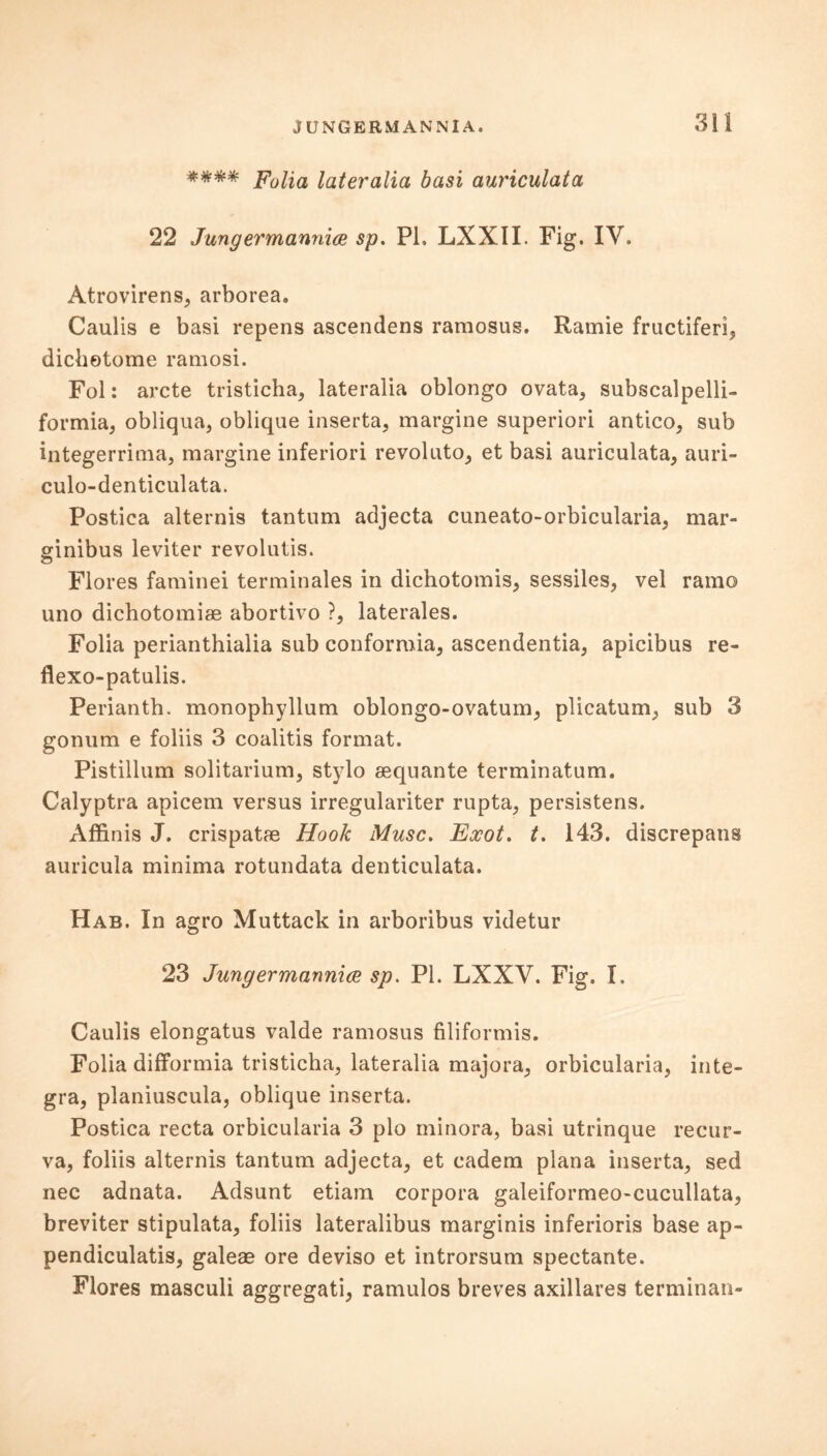 Folia lateralia basi auriculata 22 Jungermannice sp. PL LXXII. Fig. IV. Atrovirens, arborea. Caulis e basi repens ascendens raraosus. Ramie fructiferi, dicbetome ramosi. Fol: arete tristicha, lateralia oblongo ovata, subscalpelli- formia, obliqua, oblique inserta, margine superiori antico, sub integerrima, margine inferiori revoluto, et basi auriculata, auri- culo-denticulata. Postica alternis tantum adjecta cuneato-orbicularia, mar- ginibus leviter revolutis. Flores famine! terminales in dichotomis, sessiles, vel ramo uno dichotomiae abortivo ?, laterales. Folia perianthialia sub conforraia, ascendentia, apicibus re- flexo-patulis. Perianth, monophyllum oblongo-ovatum, plicatum, sub 3 gonum e foliis 3 coalitis format. Pistillum solitarium, stylo aequante terminatum. Calyptra apicem versus irregulariter rupta, persistens. Affinis J. crispatae Hook Muse. Exot. t. 143. discrepant auricula minima rotundata denticulata. Hab. In agro Muttack in arboribus videtur 23 Jungermannice sp. PL LXXV. Fig. I. Caulis elongatus valde ramosus filiformis. Folia difFormia tristicha, lateralia majora, orbicularia, inte- gra, planiuscula, oblique inserta. Postica recta orbicularia 3 plo minora, basi utrinque recur- va, foliis alternis tantum adjecta, et cadem plana inserta, sed nec adnata. Adsunt etiam corpora galeiformeo-cucullata, breviter stipulata, foliis lateralibus marginis inferioris base ap- pendiculatis, galeae ore deviso et introrsum spectante. Flores masculi aggregati, ramulos breves axillares terminal!-
