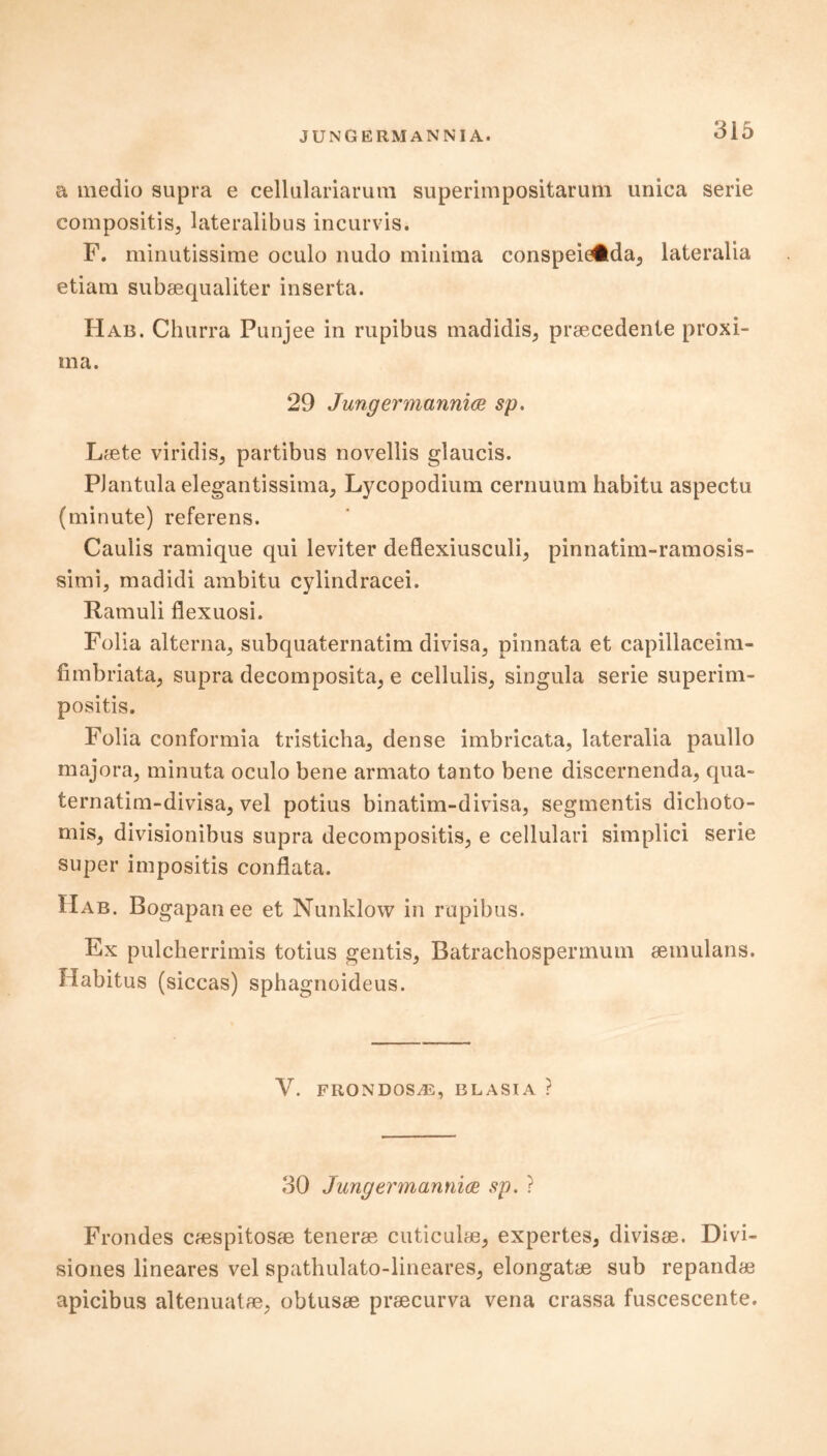 a medio supra e cellulariarum superimpositarum unica serie compositis, lateralibus incurvis. F. minutissime oculo nudo minima conspeie#da, lateralia etiam subaequaliter inserta. Hab. Churra Punjee in rupibus madidis^ praecedenle proxi- ma. 29 Jungermannice sp. Laete viridis, partibus novellis glaucis. PJantula elegantissima, Lycopodium cernuum habitu aspectu (minute) referens. Caulis ramique qui leviter deflexiusculi, pinnatim-ramosis- simi, madidi ambitu cylindracei. Ramuli flexuosi. Folia alterna, subquaternatim divisa, pinnata et capillaceim- fimbriata, supra decomposita, e cellulis, singula serie superim- positis. Folia conformia tristicha^ dense imbricata, lateralia paullo majora, minuta oculo bene armato tanto bene discernenda, qua- ternatim-divisa, vel potius binatim-divisa, segmentis dichoto- my divisionibus supra decompositis5 e cellulari simplici serie super impositis conflata. Hab. Bogapanee et Nunklow in rupibus. Ex pulcherrimis totius gentis, Batrachospermum aemulans. Habitus (siccas) sphagnoideus. V. FRONDOSiE, BLASIA ? 30 Jungermannice sp. ? Frondes cfespitosre tenerae cuticulae, expertes, divisae. Divi- siones lineares vel spathulato-lineares, elongatae sub repandae apicibus altenuatae, obtusae praecurva vena crassa fuscescente.