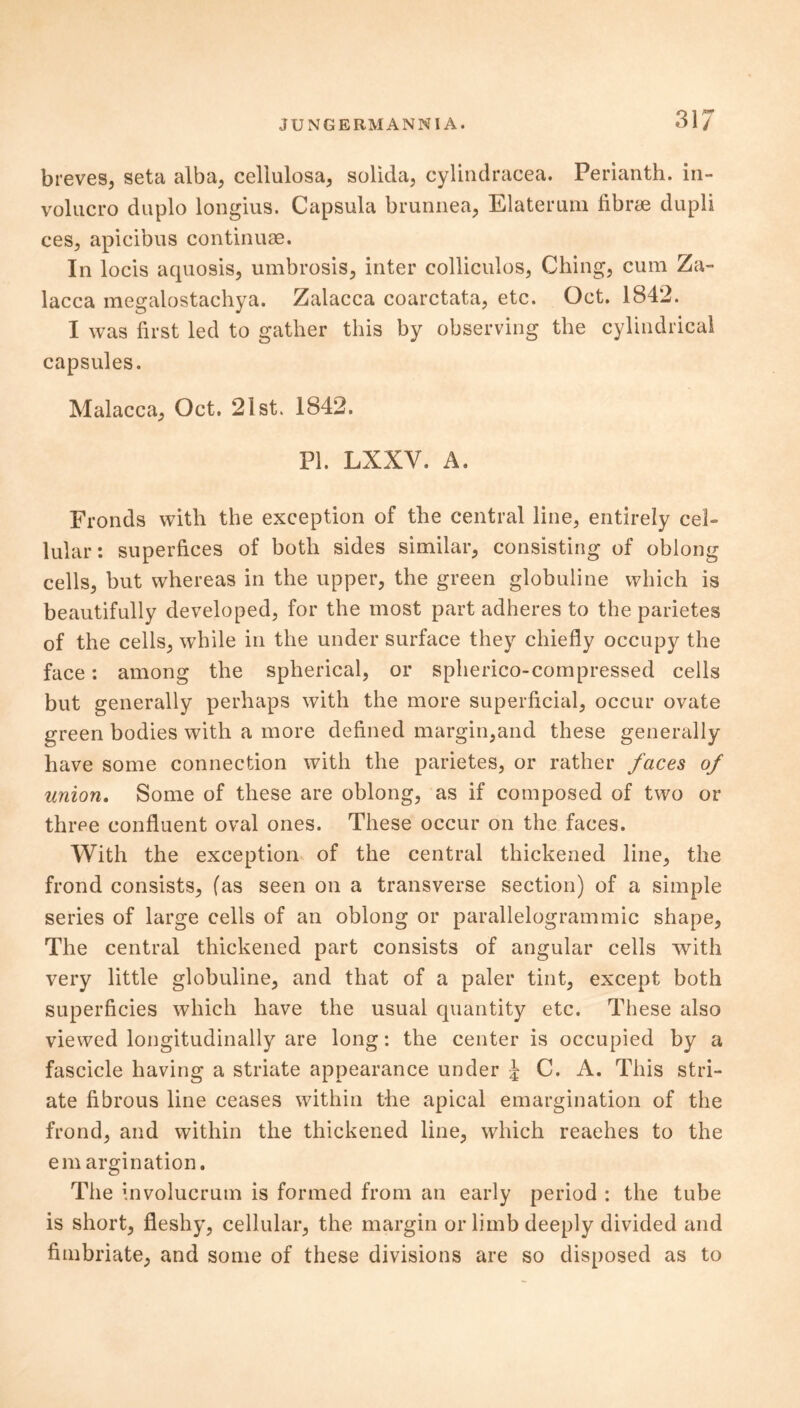 breves, seta alba, celiulosa, solida, cylindracea. Perianth, in- volucre* duplo longius. Capsula brunnea, Elaterura fibne dupli ces, apicibus continuae. In locis aquosis, umbrosis, inter colliculus, Ching, cum Za- lacca megalostachya. Zalacca coarctata, etc. Oct. 1842. I was first led to gather this by observing the cylindrical capsules. Malacca, Oct. 21st. 1842. PI. LXXY. A. Fronds with the exception of the central line, entirely cel- lular: superfices of both sides similar, consisting of oblong cells, but whereas in the upper, the green globuline which is beautifully developed, for the most part adheres to the parietes of the cells, while in the under surface they chiefly occupy the face: among the spherical, or spherico-com pressed cells but generally perhaps with the more superficial, occur ovate green bodies with a more defined margin,and these generally have some connection with the parietes, or rather faces of union. Some of these are oblong, as if composed of two or three confluent oval ones. These occur on the faces. With the exception of the central thickened line, the frond consists, (as seen on a transverse section) of a simple series of large cells of an oblong or parallelogrammic shape, The central thickened part consists of angular cells with very little globuline, and that of a paler tint, except both superficies which have the usual quantity etc. These also viewed longitudinally are long: the center is occupied by a fascicle having a striate appearance under J C. A. This stri- ate fibrous line ceases within the apical emargination of the frond, and within the thickened line, which readies to the em argi nation. The involucrum is formed from an early period : the tube is short, fleshy, cellular, the margin or limb deeply divided and fimbriate, and some of these divisions are so disposed as to