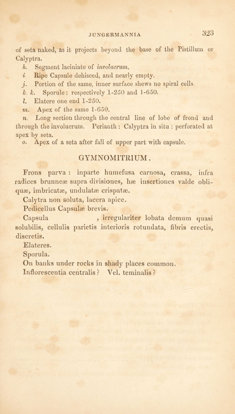 of seta naked, as it projects beyond the base of the Pistillum or Calyptra. h. Segment laciniate of involucrum, i. Ripe Capsule dehisced, and nearly empty. j. Portion of the same, inner surface shews no spiral cells, k. k. Sporule: respectively 1-250 and 1-650. l. Elatere one end 1-250. m. Apex of the same 1-650. n. Long section through the central line of lobe of frond and through the involucrum. Perianth : Calyptra in situ : perforated at apex by seta. o. Apex of a seta after fall of upper part with capsule. GYMNOMITR1UM. Frons parva : in parte humefusa carnosa, crassa, infra radices brunneae supra divisiones,, hae insertiones valde obli- quae, imbricatae, undulatae crispatae. Calytra non soluta, lacera apice. Pedicellus Capsulae brevis. Capsula , irregulariter lobata demuni quasi solubilis, cellulis parietis interioris rotundata, fibris erectis^ discretis. Elateres. Sporula. On banks under rocks in shady places common. Inflorescentia centralis? Vel. teminalis ?