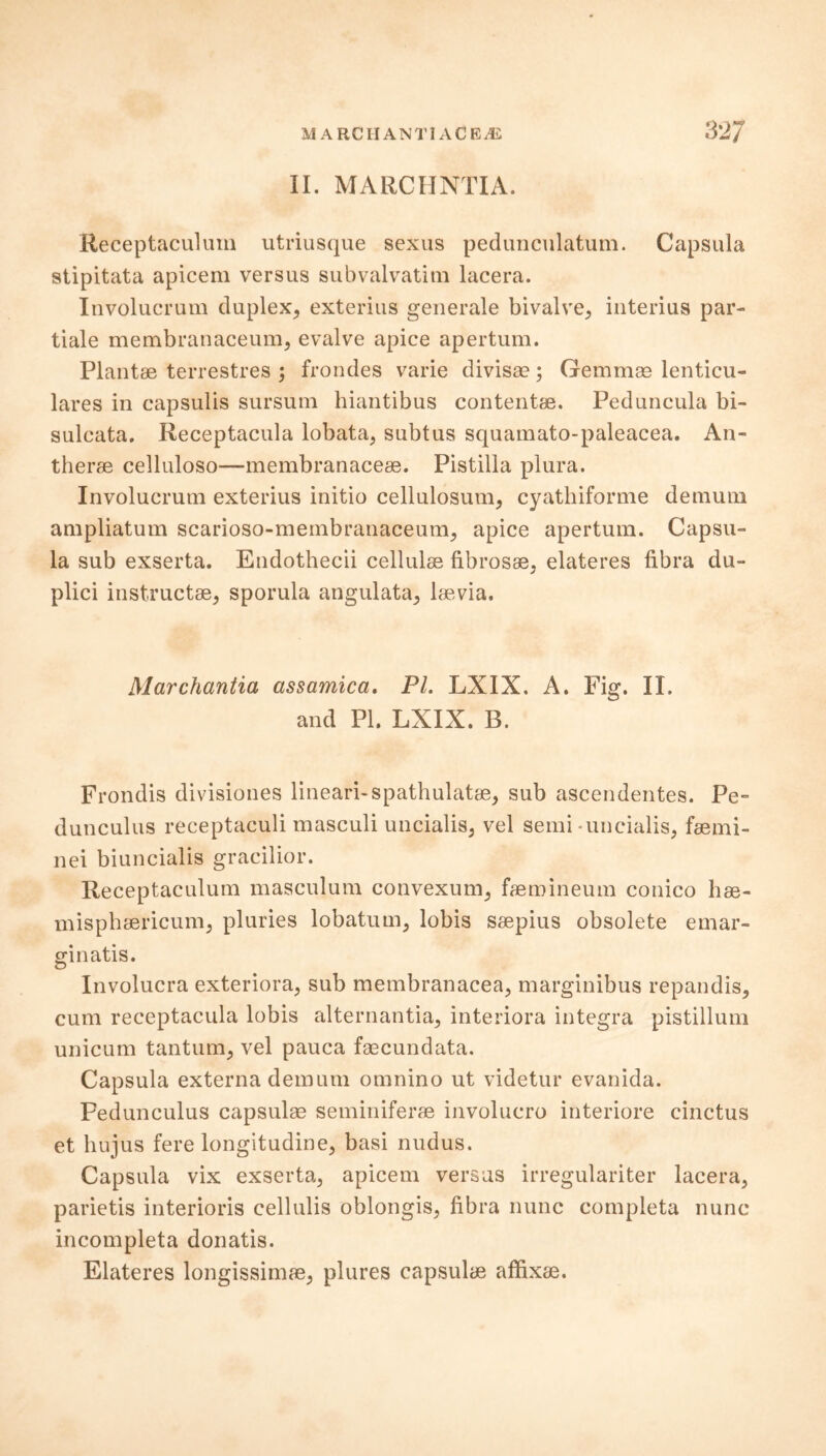 II. MARCHNTIA. Receptaculum utriusque sexus pedunculatum. Capsula stipitata apicem versus subvalvatim lacera. Involucrum duplex, exterius generale bivalve, interius par- tiale membranaceum, evalve apice apertum. Plantae terrestres ; frondes varie divisae; Gemmae lenticu- lares in capsulis sursum hiantibus contentae. Peduncula bi- sulcata. Receptacula lobata, subtus squamato-paleacea. An- therae celluloso—membranaceae. Pistilla plura. Involucrum exterius initio cellulosum, cyathiforme demum ampliatum scarioso-membranaceum, apice apertum. Capsu- la sub exserta. Endothecii cellulae fibrosae, elateres fibra du- plici instructae, sporula angulata, laevia. Marchantia assamica. PL LXIX. A. Fig. II. and PL LXIX. B. Frondis divisiones lineari-spathulatae, sub ascendentes. Pe~ dunculus receptaculi masculi uncialis, vel semi-uncialis, faemi- nei biuncialis gracilior. Receptaculum masculum convexum, faemineum conico hae- misphaericum, pluries lobatum, lobis saepius obsolete emar- ginatis. Involucra exteriora, sub membranacea, marginibus repandis, cum receptacula lobis alternantia, interiora integra pistillum unicum tantum, vel pauca faecundata. Capsula externa demum omnino ut videtur evanida. Pedunculus capsulae seminiferae involucro interiore cinctus et hujus fere longitudine, basi nudus. Capsula vix exserta, apicem versus irregulariter lacera, parietis interioris cellulis oblongis, fibra nunc completa nunc incompleta donatis. Elateres longissimae, plures capsulae affixae.