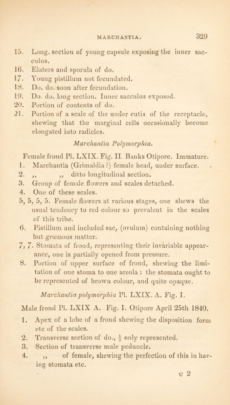 15. Long, section of young capsule exposing the inner sac- cuius. 16. Elaters and sporula of do. 17- Young pistillum not fecundated. 18. Do. do. soon after fecundation. 19. Do. do. long section. Inner sacculus exposed. 20. Portion of contents of do. 21. Portion of a scale of the under cutis of the receptacle, shewing that the marginal cells occasionally become elongated into radicles. Marchaniia Polymorphia. Female frond PI. LXIX. Fig. II. Banks Otipore. Immature. 1. Marchantia (Grimaldia ?) female head, under surface. 2. ,, ,, ditto longitudinal section. 3. Group of female flowers and scales detached. 4. One of these scales. 5. 5, 5, 5. Female flowers at various stages, one shews the usual tendency to red colour so prevalent in the scales of this tribe. 6. Pistillum and included sac, (ovulum) containing nothing but grumous matter. 7. 7* Stomata of frond, representing their invariable appear- ance, one is partially opened from pressure. 8. Portion of upper surface of frond, shewing the limi- tation of one stoma to one areola : the stomata ought to be represented of brown colour, and quite opaque. Marchantia poly morphia PI. LXIX. A. Fig. I. Male frond PI. LXIX A. Fig. I. Otipore April 25th 1840. 1. Apex of a lobe of a frond shewing the disposition form etc of the scales. 2. Transverse section of do., J only represented. 3. Section of transverse male peduncle. 4. ,, of female, shewing the perfection of this in hav- ing stomata etc. u 2