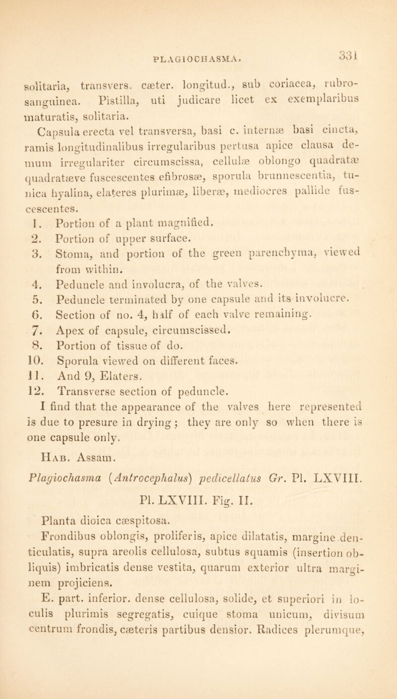PLAG10CIIASMA. solitaria, transvers. caster, longitude sub coriacea, rubro- sanguinea. Pistilla, uti judicare licet ex exemplaribus maturatis, solitaria. Capsula erecta vel transversa, basi c. internal basi cincta, ramis longitudinalibus irregularibus pertusa apice clausa de- mum irresulariter circumscissa, cellulae oblongo quadratae quadratcfive fuscescentes efibrosse, sporula brunnescentia, tu- nica hyalina, elateres plurimae, liberae, mediocres pallide fus- cescentes. 1. Portion of a plant magnified. 2. Portion of upper surface. 3. Stoma, and portion of the green parenchyma, viewed from within. 4. Peduncle and involucra, of the valves. 5. Peduncle terminated by one capsule and its involucre. 6. Section of no. 4, half of each valve remaining. 7. Apex of capsule, circumscissed. 8. Portion of tissue of do. 10. Sporula viewed on different faces, i I. And 9, Elaters. 12. Transverse section of peduncle. I find that the appearance of the valves here represented is due to presure in drying; they are only so when there is one capsule only. Hab. Assam. Plagiochasma (Antrocephalus) pedicellatus Gr. PI. LXVIII. Pl.LXVIII. Fig. II. Planta dioica caespitosa. Frondibus oblongis, prolifer is, apice dilatatis, margine den- ticulatis, supra areolis cellulosa, subtus squamis (insertion ob- liquis) imbricatis dense vestita, quarum exterior ultra maru- nem projiciens. E. part, inferior, dense cellulosa, solide, et superiori in lo- culis plurimis segregatis, cuique stoma unicum, divisum centrum frondis, caeteris partibus densior. Radices plerumque,