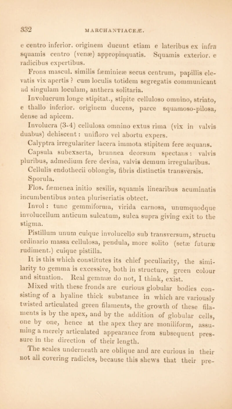 e centro inferior, originem ducunt etiam e lateribus ex infra squamis centro (venae) appropinquatis. Squamis exterior, e radicibus expertibus. Frons mascul. similis faeminieae secus centrum, papillis ele- vatis vix apertis ? cum loculis totidem segregatis communicant ad singulam loculam, anthera solitaria. Involucrum longe stipitat., stipite celluloso omnino, striato, e thallo inferior, originem ducens, parce squamoso-pilosa, dense ad apicem. Involucra (3-4) cellulosa omnino extus rima (vix in valvis duabus) dehiscent: unifloro vel abortu expers. Calyptra irregulariter lacera immota stipitem fere aequans. Capsula subexserta, brunnea deorsum spectans : valvis pluribus, admedium fere devisa, valvis demum irregularibus. Cellulis endothecii oblongis, fibris distinctis transversis. Sporula. Flos, fiemenea initio sesilis, squamis linearibus acuminatis incumbentibus antea pluriseriatis obtect. Invol : tunc gemmitorma, virida carnosa, unumquodque involucellum anticum sulcatum, sulca supra giving exit to the stigma. Pistillum ununi cuique involucello sub transversum, structu ordinario massa cellulosa, pendula, more solito (setce futurae rudiment.) cuique pistilla. It is this which constitutes its chief peculiarity, the simi- larity to gemma is excessive, both in structure, green colour and situation. Real gemmae do not, I think, exist. Mixed with these fronds are curious globular bodies con- sisting of a h) aline thick substance in which are variously twisted articulated green filaments, the growth of these fila- ments is by the apex, and by the addition of globular cells, one by one, hence at the apex they are moniliform, assu- ming a merely articulated appearance from subsequent pres- sure in the direction of their length. Ihe scales underneath are oblique and are curious in their not all covering radicles, because this shews that their pre-