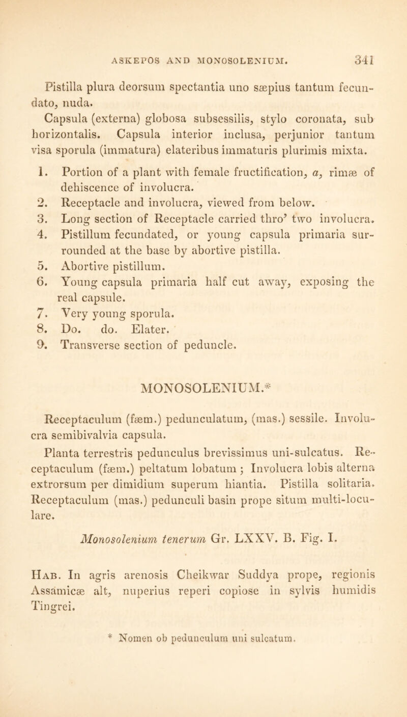 Pistilla plura deorsum spectantia uno saepius tantum fecun- dato, nuda. Capsula (externa) globosa subsessilis, stylo coronata, sub horizontalis. Capsula interior inclusa, perjunior tantum visa sporula (immatura) elateribus immaturis plurimis mixta. 1. Portion of a plant with female fructification, a, rimae of dehiscence of involucra. 2. Receptacle and involucra, viewed from below. 3. Long section of Receptacle carried thro5 two involucra. 4. Pistillum fecundated, or young capsula primaria sur- rounded at the base by abortive pistilla. 5. Abortive pistillum. 6. Young capsula primaria half cut away, exposing the real capsule. 7. Very young sporula. 8. Do. do. Elater. 9. Transverse section of peduncle. MONOSOLENIUM.* Receptaculum (fiem.) pedunculatuin, (mas.) sessile. Involu- cra semibivalvia capsula. Planta terrestris pedunculus brevissimus uni-sulcatus. Re- ceptaculum (fsem.) peltatum lobatum ; Involucra lobis alterna extrorsum per dimidium superum hiantia. Pistilla solitaria. Receptaculum (mas.) pedunculi basin prope situm multi-locu- lare. Monosolenium tenerum Gr. LXXV. B. Fig. I. Hab. In agris arenosis Cheikwar Suddya prope, regionis Assamicse alt, nuperius reperi copiose in svlvis humidis Tingrei. * Nomen ob pedunculum uni sulcatum.