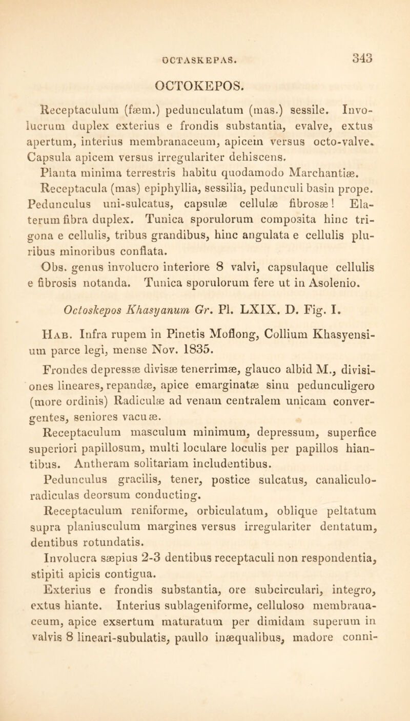 OCTOKEPOS. Heceptaculum (faem.) pedunculatum (mas.) sessile. Invo- lucrum duplex exterius e frondis substantia, evalve, extus apertum, interius membranaceum, apicem versus octo-valve. Capsula apicem versus irregulariter dehiscens. Plauta minima terrestris habitu quodamodo Marchantiae. Receptacula (mas) epiphyllia, sessilia, pedunculi basin prope. Pedunculus uni-sulcatus, capsulae cellulae fibrosae! Ela- terum fibra duplex. Tunica sporulorum composita hinc tri- gona e cellulis, tribus grandibus, hinc angulata e cellulis plu- ribus minoribus conflata. Obs. genus involucro interiore 8 valvi, capsulaque cellulis e fibrosis notanda. Tunica sporulorum fere ut in Asolenio. Octoskepos Khasyanum Gr, PI. LXIX. D. Fig. I. Hab. Infra rupem in Pinetis Moflong, Collium Khasyensi- utn parce legi, mense Nov. 1835. Frondes depressae divisae tenerriinae, glauco albid M., divisi- ones lineares, repandae, apice emarginatae sinu pedunculigero (more ordinis) Radical® ad venatn centralem unicam conver- gentes, seniores vacuae. Receptaculum masculum minimum, depressum, superfice superiori papillosum, multi loculare loculis per papillos hian- tibus. Antheram solitariam includentibus. Pedunculus gracilis, tener, postice sulcatus, canaliculo- radiculas deorsum conducting. Receptaculum reniforme, orbiculatum, oblique peltatum supra planiusculum margines versus irregulariter dentatum, dentibus rotundatis. Involucra saepius 2-3 dentibus receptaculi non respondentia, stipiti apicis contigua. Exterius e frondis substantia, ore subcirculari, integro, extus hiante. Interius sublageniforme, celluloso membraua- ceum, apice exsertum maturatum per dimidam superum in valvis 8 lineari-subulatis, paullo inaequalibus, madore conni-