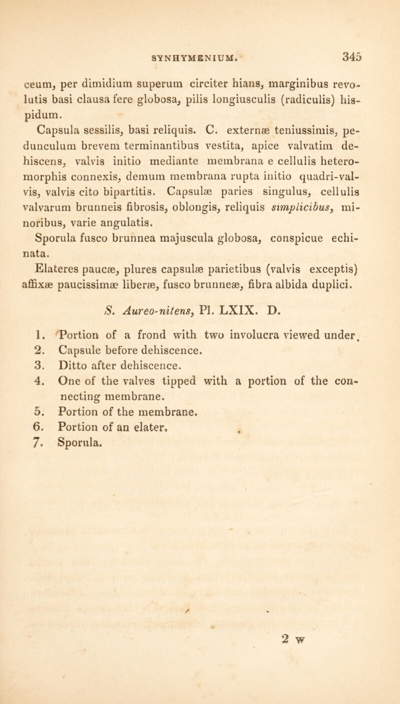 ceum, per dimidium superum circiter hians, marginibus revo- latis basi clausa fere globosa, pilis longiusculis (radiculis) his- pidum. Capsula sessilis, basi reliquis. C. externae teniussimis, pe- dunculum brevem terminantibus vestita, apice valvatim de- hiscens, valvis initio mediante membrana e cellulis hetero- morphis connexis, demurn membrana rupta initio quadri-val- vis, valvis cito bipartitis. Capsulae paries singulus, cellulis valvarum brunneis fibrosis, oblongis, reliquis simpLicibus, mi- noribus, varie angulatis. Sporula fusco brunnea majuscula globosa, conspicue echi- nata. Elateres paucae, plures capsulae parietibus (valvis exceptis) affixae paucissimae liberae, fusco brunneae, fibra albida duplici. S. AureO'nitens, PI. LXIX. D. 1. Portion of a frond with two involucra viewed under. 2. Capsule before dehiscence. 3. Ditto after dehiscence. 4. One of the valves tipped with a portion of the con- necting membrane. 5. Portion of the membrane, 6. Portion of an elater, 7» Sporula.