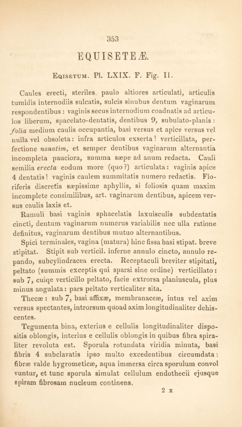 ' EQUISETEiE. Eqisetum. PI. LXIX. F. Fig. II. Caules erecti, steriles paulo altiores articulati, articulis turnidis internodiis sulcatis, sulcis sinubus dentum vaginarum respondentibus : vaginis secus internodium coadnatis ad articu- los liberum, spacelato-dentatis, dentibus 9, subulato-planis : folia medium caulis occupantia, basi versus et apice versus vel nulla vel obsoleta: infra articulos exserta! verticillata, per- fectione nonatim, et semper dentibus vaginarum alternantia incompleta pauciora, summa saepe ad anum redacta. Cauli semilia erecta eodum more (quo?) articulata: vaginis apice 4 dentatis! vaginis caulem summitatis numero redactis. Flo- riferis discretis saepissime aphyllis, si foliosis quam maxim incomplete consimilibus, art. vaginarum dentibus, apicem ver- sus caulis laxis et. Ramuli basi vaginis sphacelatis laxuisculis subdentatis cincti, dentum vaginarum numerus variabilis nec ulla ratione definitus, vaginarum dentibus mutuo alternantibus. Spici terminates, vagina (matura) bine fissa basi stipat. breve stipitat. Stipit sub verticil, inferne annulo cincto, annulo re- pando, subcylindracea erecta. Receptaculi breviter stipitati, peltato (summis exceptis qui sparsi sine ordine) verticillato: sub 7? cuiqe verticilio peltato, facie extrorsa planiuscula, plus minus angulata: pars peltato verticaliter sita. Thecae : sub 7, basi affixae, membranaceae, intus vel axim versus spectantes, introrsum quoad axim longitudinaliter dehis- centes. Tegumenta bina, exterius e celluiis longitudinaliter dispo- sitis oblongis, interius e celluiis oblongis in quibus fibra spira- liter revoluta est. Sporula rotundata viridia minuta, basi fibris 4 subclavatis ipso multo excedentibus circumdata: fibrae valde hygrometicae, aqua immersa circa sporulum convol vuntur, et tunc sporula simulat cellulum endothecii ejusque spiram fibrosam nucleum continens. 2 x