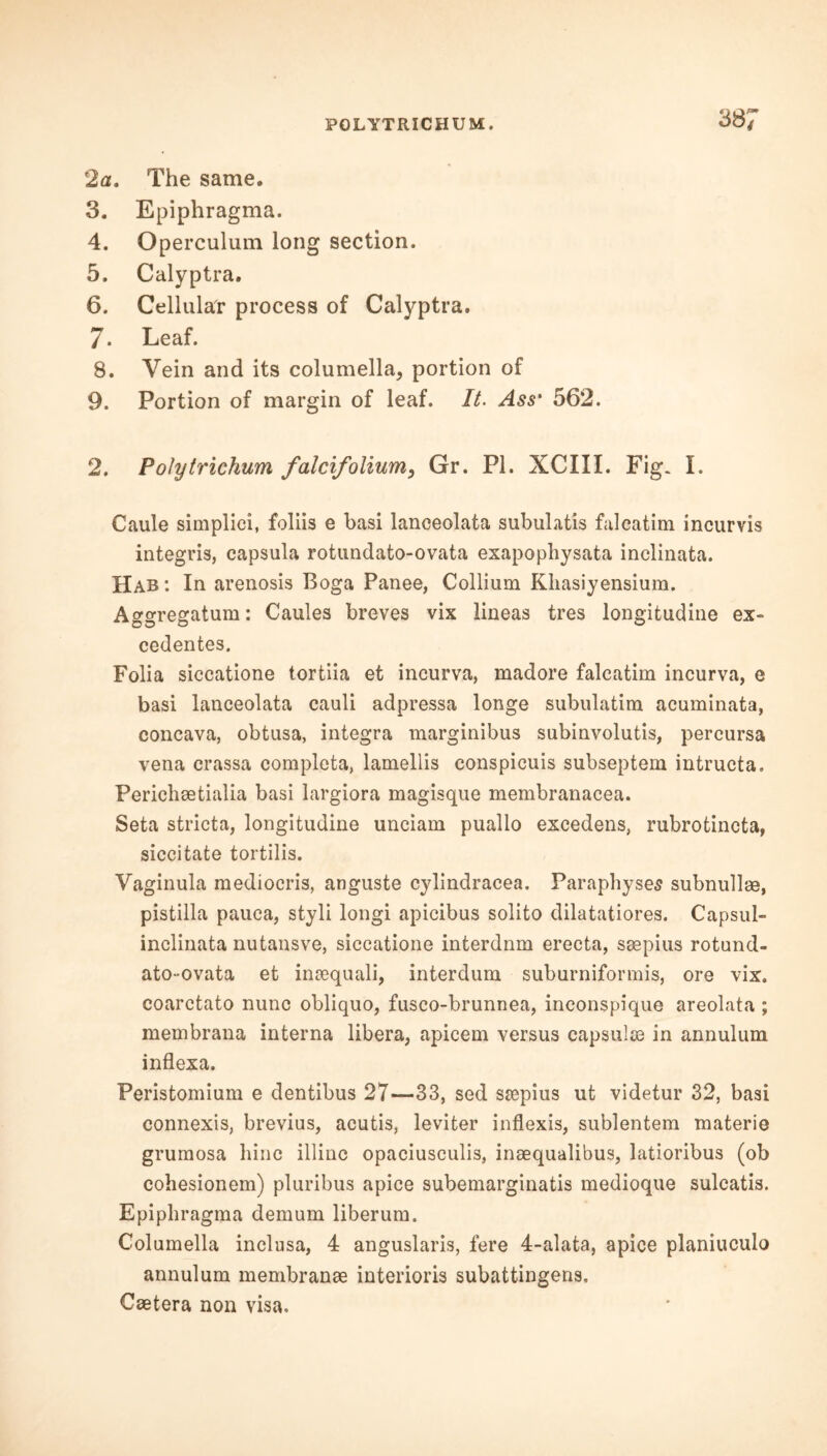 2a. The same. 3. Epiphragma. 4. Operculum long section. 5. Calyptra. 6. Cellular process of Calyptra. 7. Leaf. 8. Vein and its columella, portion of 9. Portion of margin of leaf. It. Ass' 562. 2. Poly trichum falcifolium, Gr. PI. XCXII. Fig. I. Caule simplici, foliis e basi lanceolata subulatis faleatim incurvis integris, capsula rotundato-ovata exapophysata inclinata. Hab: In arenosis Boga Panee, Collium Khasiyensium. Aggregatum: Caules breves vix lineas tres longitudine ex- cedentes. Folia siccatione tortiia et incurva, madore faleatim incurva, e basi lanceolata cauli adpressa longe subulatim acuminata, concava, obtusa, integra marginibus subinvolutis, percursa vena crassa completa, lamellis conspicuis subseptem intructa. Perichsetialia basi largiora magisque membranacea. Seta stricta, longitudine unciam puallo excedens, rubrotincta, siccitate tortilis. Vaginula mediocris, anguste cylindracea. Paraphyses subnullee, pistilla pauca, styli longi apicibus solito dilatatiores. Capsul- inclinata nutansve, siccatione interdnm erecta, ssepius rotund- ato-ovata et insequali, interdum suburniformis, ore vix. coarctato nunc obliquo, fusco-brunnea, inconspique areolata ; membrana interna libera, apicem versus capsules in annulum inflexa. Peristomium e dentibus 27—33, sed ssepius ut videtur 32, basi connexis, brevius, acutis, leviter inflexis, sublentem materie grumosa bine illinc opaciusculis, inaequalibus, latioribus (ob cohesionem) pluribus apice subemarginatis medioque sulcatis. Epiphragma demum liberum. Columella inclusa, 4 anguslaris, fere 4-alata, apice planiuculo annulum membranae interiors subattingens, Caetera non visa.