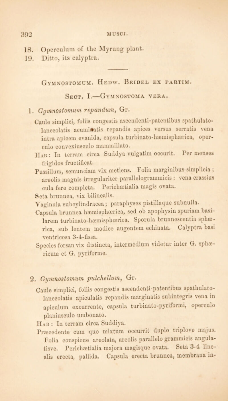 18. Operculum of the Myrung plant. 19. Ditto, its calyptra. Gymnostomum. Hedw. Bridel ex partim. Sect. I.—Gymnostoma vera. 1. Ggmnostomum repandum, Gr. Caule simplici, foliis congestis asceudenti-patentibus spathulato- lanceolatis acumiflatis repandis apices versus serratis vena intra apicem evanida, capsula turbiuato-lioemisphcerica, oper- culo convexiusculo mammillato. IIab : In terram circa Suddya vulgatim occurit. Per menses frigidos fructificat. Pussillum, semunciam vix metiens. Folia marginibus simplicia ; aroolis magiiis irregulariter parallelogrammicis : ^cna ciassius cula fere completa. Perichaetialia wagis ovata. Seta brunnea, vix bilinealis. Vaginula subcylindracea; parapliyses pistillaque subnulla. Capsula brunnea haomisphoerica, sed ob apophysin spuriam basi- larem turbinato-hsemisphoerica. Sporula brunnescentia spliae- rica, sub lentem modice augentem echiuata. Calyptra basi ventricosa 3-4-fissa. Species forsan vix distincta, intermedium videtur inter G. splias- ricum et G. pyriforme. 2. Gymnostomum pulchellum, Gr. Caule simplici, foliis congestis asceudenti-patentibus spatliulato- lanceolatis apiculatis repandis marginatis subintegris vena in apiculum excurrente, capsula turbinato-pyriformi, operculo planiusculo umbonato. IIab : In terram circa Suddiya. Prsecedente cum quo mixtum occurrit duplo triplove majus. Folia conspicue areolata, areolis parallelo grammicis angula- tisve. Perichaetialia majora magisque ovata. Seta 3-4 line- alis erecta, pallida. Capsula erecta brunnea, membrana in-