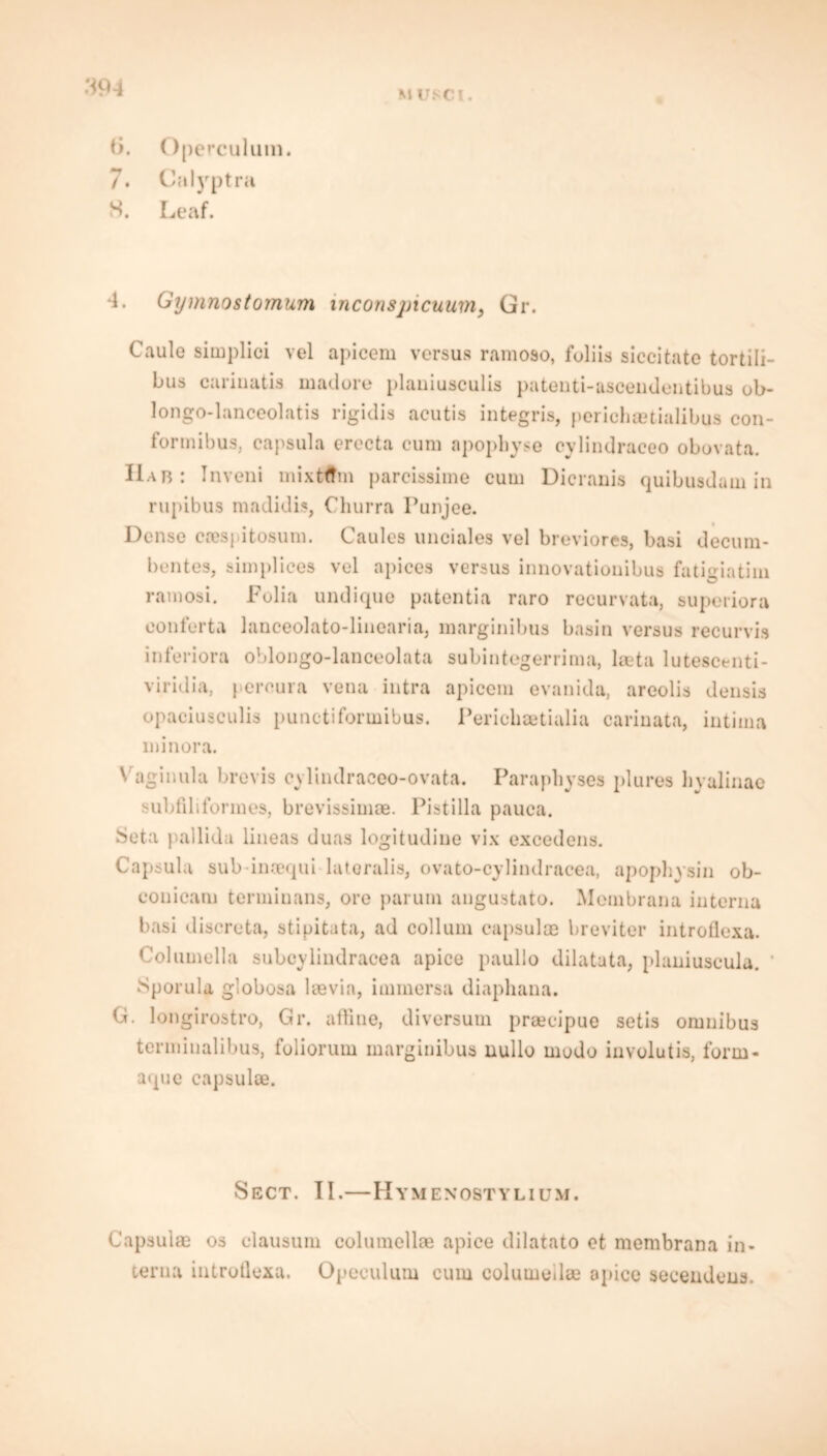 i’>. Operculum. 7. Calyptra 8. Leaf. •1. Gymnostomum inconspicuum, Gr. Caule simplici vel apicem versus ramoso, fuliis siccitato tortili- bus cariuatis madore planiusculis pateuti-ascendentibus ob- longo-lanceolatis rigidis acutis integris, perichaetialibus con- formibus, capsula erecta cum apophyse cylindraceo obovata. IIar: Inveni mixtftm parcissime cum Dicranis quibusdam in rupibus madidis, Churra Punjee. Dense coespitosum. Caules unciales vel breviores, basi decum- bentes, simpliees vel apices versus innovatiouibus fatigiatim ramosi. Folia undique patentia raro rccurvata, superiora oonferta lanceolato-linearia, marginibus basin versus recurvis inferiora oblongo-lanceolata subintegerrima, beta lutescenti- viridia, pereura vena intra apicem evanida, areolis densis opaciusculis punctiforinibus. Perichaetialia carinata, intima minora. Vaginula brevis cylindraceo-ovata. Parapbyses plures liyalinae subfiliformes, brevissimae. Pistilia pauca. Seta pallida lineas duas logitudiue vix excedens. Capsula sub inrequi latoralis, ovato-cylindracea, apophysin ob- couicam terminans, ore parum angustato. Membrana interna basi discreta, stipitata, ad collum eapsulae breviter introflexa. Columella subcylindracea apice paullo dilatata, planiuscula. Sporula globosa kevia, immersa diaphana. G. longirostro, Gr. affine, diversum praecipue setis omnibus terminalibus, foliorum marginibus nullo modo involutis, form- aque capsulce. Sect. II.—Hymenostylium. Capsulae os clausum columellas apice dilatato et membrana in- tern a introflexa. Opeeulum cum columeilae apice secendens.