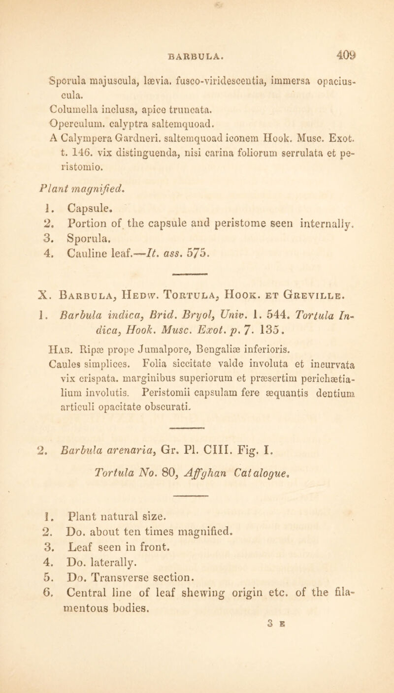 Sporula majuscula, lsevia. fusco-viridescentia, immersa opacius* cula. Columella inclusa, apice truncata. Operculum, calyptra saltemquoad. A Calympera Gardneri. saltemquoad iconem Hook. Muse. Exot. t. 146. vix distinguenda, nisi carina foliorum serrulata et pe~ ristomio. Plant magnified. ]. Capsule. 2. Portion of the capsule and peristome seen internally. 3. Sporula. 4. Cauline leaf.— It. ass. 575. X. Barbula, Hedw. Tortula, Hook, et Greville. j. Barbula indica, Brid. Bryol, Univ. 1. 544. Tor tula In~ dica, Hook. Muse. Exot. p. 7- 135. Hab. Ripce prope Jumalpore, Bengalis inferioris. Caules simplices. Folia siccitate valde involuta et incurvata vix crispata. marginibus superiorum et praesertim perichaetia- lium involutis. Peristomii capsulam fere aequantis dentium articuli opacitate obscurati. 2. Barbula arenaria, Gr. PI. CIII. Fig. I. Tortula No. 80, Affghan Catalogue. 1. Plant natural size. 2. Do. about ten times magnified. 3. Leaf seen in front. 4. Do. laterally. 5. Do. Transverse section. 6. Central line of leaf shewing origin etc. of the fila- mentous bodies. 3 E