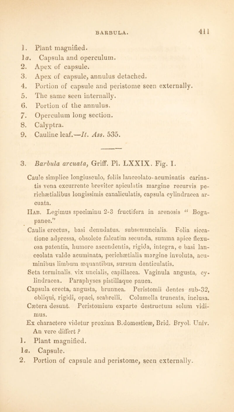 ]. Plant magnified. la. Capsula and operculum. 2. Apex of capsule. 3. Apex of capsule, annulus detached. 4. Portion of capsule and peristome seen externally. 5. The same seen internally. 6. Portion of the annulus. 7. Operculum long section. 8. Calyptra. 9. Cauline leaf.—It. Ass. 535. 3. Barbula arcuata} Griff. PI. LXX1X. Fig. I. Caule simplice longiusculo, foliis lanceolato-acuminatis carina- tis vena excurrente breviter apiculatis margine recurvis pe- richaetialibus longissimis canaliculatis, capsula cylindraeea ar- cuata. Hab. Legimus speciminu 2-3 fructifera in arenosis “ Boga- panee.” Caulis erectus, basi denudatus. subsemuncialis. Folia sicca- tione adpressa, obsolete falcatim secunda, summa apice flexu- osa patentia, humore ascendentia, rigid a, integra, e basi lan- ceolata valde acuminata, perichaetialia margine involuta, acu- minibus limbum sequantibus, sursum denticulatis. Seta terminalis, vix uncialis, capillacea. Yaginula angusta, cy. lindracea. Paraphyses pistillaque pauca. Capsula erecta, angusta, brunnea. Peristomii dentes sub-32, obliqui, rigidi, opaci, scabrelli. Columella truncata, inclusa. Caetera desunt. Peristomium exparte destructum solum vidi- mus. Ex charactere videtur proxima B.domesticse, Brid. Bryol. Univ. An vere differt ? 1. Plant magnified. 1 a. Capsule. 2. Portion of capsule and peristome, seen externally.