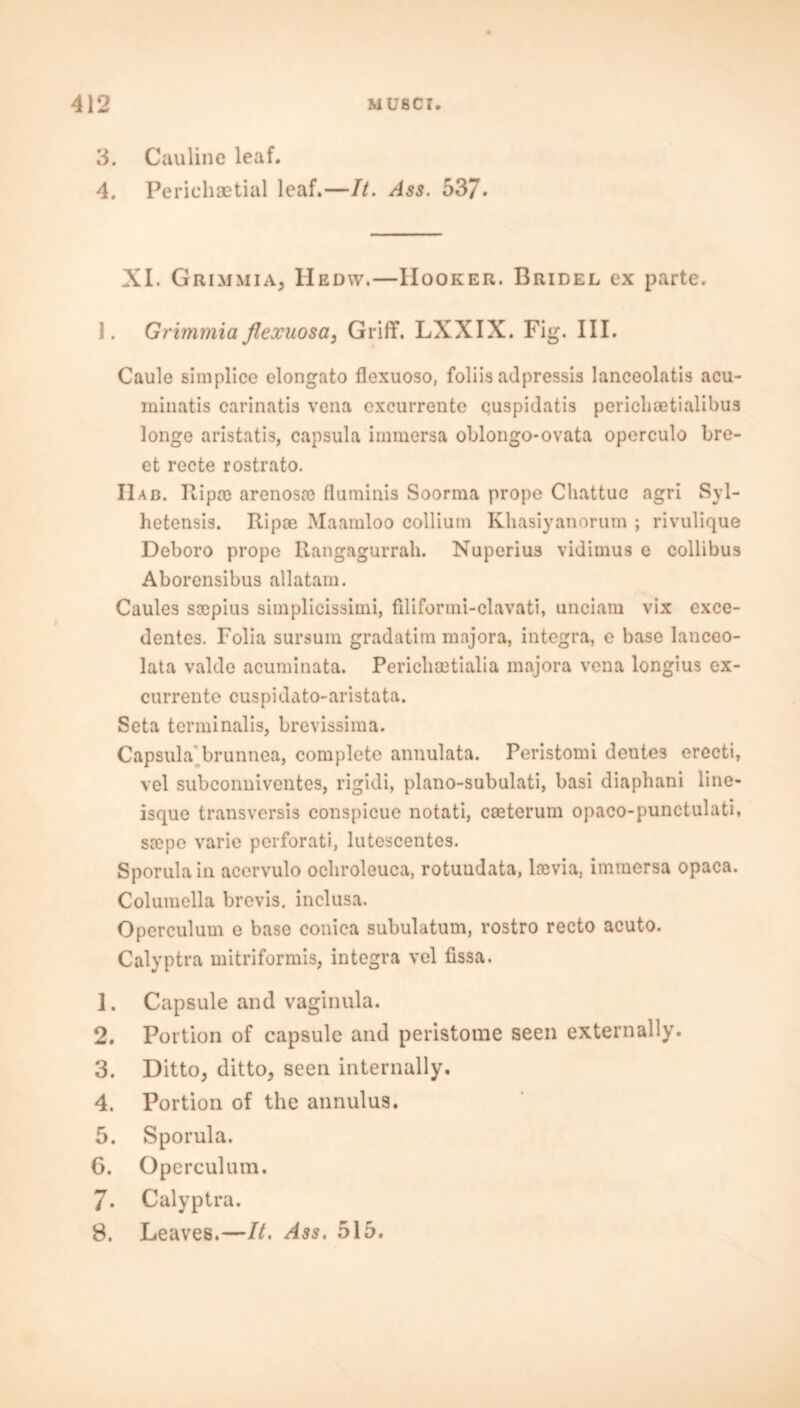 3. Cauline leaf. 4. Periehaetial leaf.—It. Ass. 537. XI. Grimmia, Hedw,—Hooker. Bridel ex parte. J. Grimmia flexuosa, Griff. LXXIX. Fig. III. Caule simplice elongato flexuoso, foliis adpressis lanceolatis acu- minatis carinatis vena excurrente cuspidatis periclioetialibus longe aristatis, capsula immersa oblongo-ovata operculo bre- et recte rostrato. IIab. Ripm arenosm fluminis Soorma prope Chattuc agri Syl- hetensis. Ripae Maamloo collium Kliasiyanorum ; rivulique Deboro prope Rangagurrah. Nuperius vidimus e collibus Aborensibus allatam. Caules secpius simplicissimi, filiformi-clavati, unciam vix exce- dentes. Folia sursum gradatitn majora, integra, e base lanceo- lata valde acuminata. Pericliaetialia majora vena longius ex- currente cuspidato-aristata. Seta terminalis, brevissima. Capsula'brunnea, complete annulata. Peristomi deutes erecti, vel subconniventes, rigidi, plano-subulati, basi diapliani line- isque transversis conspicuc notati, caetcrum oj)aco-punctulati, srepe varie perforati, lutescentes. Sporula in acervulo ocliroleuca, rotundata, loevia, immersa opaca. Columella brevis, inclusa. Operculum e base conica subulatum, vostro recto acuto. Calyptra mitriformis, integra vel fissa. 1. Capsule and vaginula. 2. Portion of capsule and peristome seen externally. 3. Ditto, ditto, seen internally. 4. Portion of the annulus. 5. Sporula. 6. Operculum. 7. Calyptra. 8. Leaves.—It, Ass. 515.