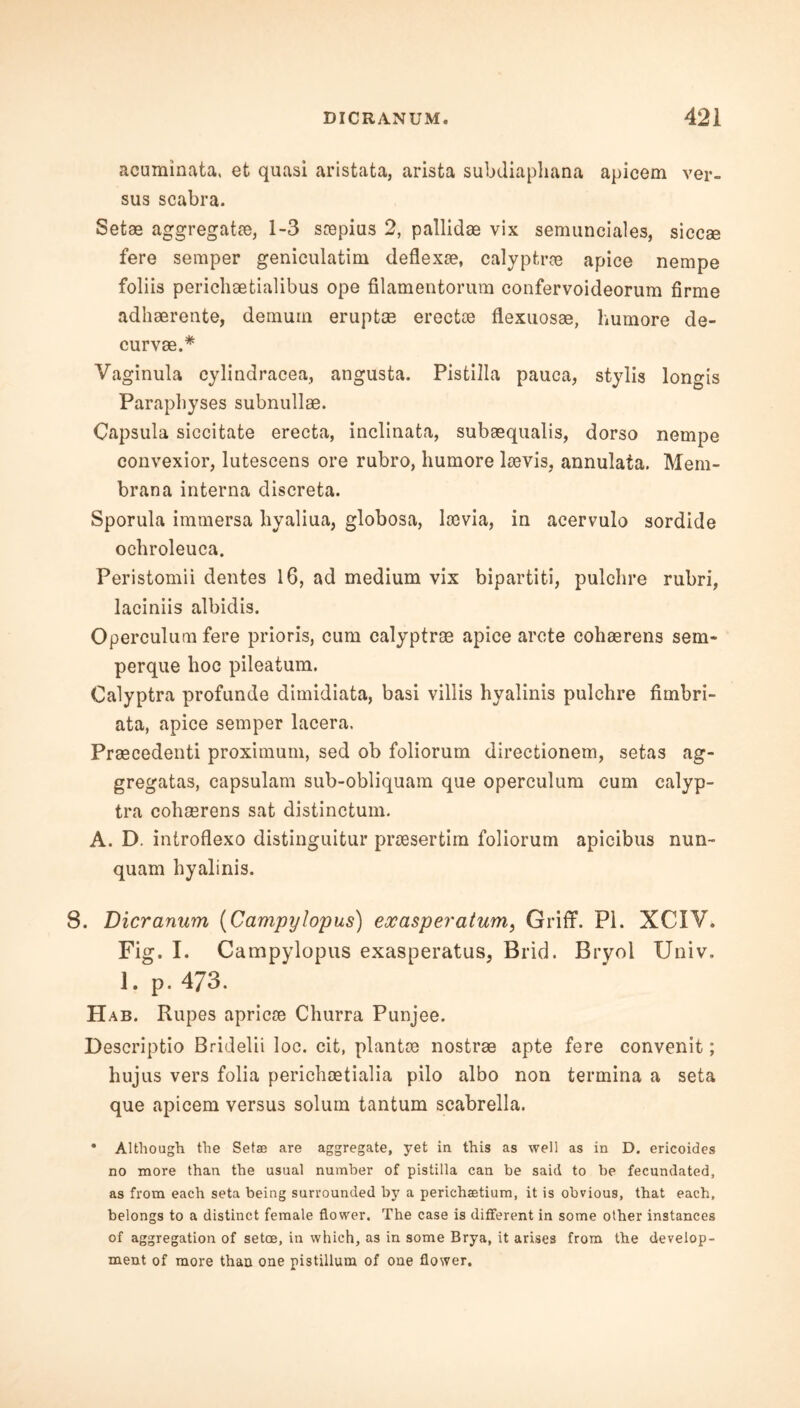 acuminata, et quasi aristata, arista subdiaphana apicem ver- sus scabra. Setae aggregat®, 1-3 scepius 2, pallid® vix semunciales, sicc® fere semper geniculatim deflex®, calyptr® apice nempe foliis pericliaetialibus ope filamentorum confervoideorum firme adhaerente, demurn erupt® erect® flexuosae, humore de- curv®.* Vaginula cylindracea, angusta. Pistilla pauca, stylis lon°-is Parapbyses subnull®. Capsula siccitate erecta, inclinata, sub®qualis, dorso nempe convexior, lutescens ore rubro, humore lcevis, annulata. Mem- bran a interna discreta. Sporula immersa hyaliua, globosa, lcevia, in aeervulo sordide ochroleuca. Peristomii dentes 16, ad medium vix bipartiti, pulchre rubri, laciniis albidis. Operculum fere prioris, cum calyptr® apice arete cohmrens sem- perque hoc pileatum. Calyptra profunde dimidiata, basi villis hyalinis pulchre fimbri- ata, apice semper lacera. Pr®cedenti proximum, sed ob foliorum directionem, setas ag- gregatas, capsulam sub-obliquam que operculum cum calyp- tra coh®rens sat distinctum. A. D. introflexo distinguitur pr®sertim foliorum apicibus nun- quam hyalinis. 8. Dicranum (Campylopus) exasperatum, Griff. PI. XCIV. Fig. I. Campylopus exasperatus, Brid. Bryol IJniv. 1. p. 473. H ab. Rupes apric® Churra Punjee. Descriptio Bridelii loc. cit, plant® nostr® apte fere convenit; hujus vers folia perichmtialia pilo albo non termina a seta que apicem versus solum tantum scabrella. • Although the Setae are aggregate, yet in this as well as in D. ericoides no more than the usual number of pistilla can be said to be fecundated, as from each seta being surrounded by a perichaetium, it is obvious, that each, belongs to a distinct female flower. The case is different in some other instances of aggregation of setoe, in which, as in some Brya, it arises from the develop- ment of more than one pistillum of one flower.