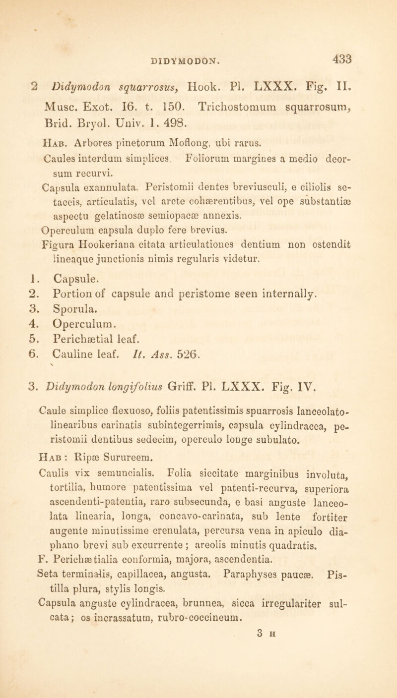 2 Didymodon squarrosus, Hook. PI. LXXX. Fig, II. Muse. Exot. 16. t. 150. Trichostomum squarrosum, Brid. Bryol. Uuiv. 1. 498. IIab. Arbores pinetorum Moflong, ubi rarus. Caules interdutn simplices. Foliorum margiues a medio deor- sum recurvi. Capsula exannulata. Peristomii dentes breviusculi, e ciliolis se- taceis, articulatis, vel arete cohaerentibus, vel ope substantiae aspectu gelatinosse semiopacae annexis. Operculum eapsula duplo fere brevius. Figura Hookeriana citata articulationes dentium non ostendit lineaque junctionis nimis regularis videtur. 1. Capsule. 2. Portion of capsule and peristome seen internally. 3. Sporula. 4. Operculum. 5. Perichsetial leaf. 6. Cauline leaf. It. Ass. 526. \ 3. Didymodon longifolius Griff. PI. LXXX. Fig. IV. Caule simplice flexuoso, foliis patentissimis spuarrosis lanceolato- linearibus carinatis subintegerrimis, capsula cylindracea, pe- ristomii dentibus sedecim, operculo longe subulato. Hab : Ripce Surureem. Caulis vix semuncialis. Folia siccitate marginibus involuta, tortilia, liumore patentissima vel patenti-recurva, superiora ascendenti-patentia, raro subsecunda, e basi anguste lanceo- lata linearia, longa, concavo-carinata, sub lente fortiter augente minutissime crenulata, percursa vena in apiculo dia- phano brevi sub excurrente ; areolis minutis quadratis. F. Pericbaetialia conformia, majora, ascendentia. Seta terminals, capillacea, angusta. Paraphyses paucae. Pis- tilla plura, stylis longis. Capsula anguste cylindracea, brunnea, sicca irregulariter sul- cata; os incrassatum, rubro-coccineum. 3 H