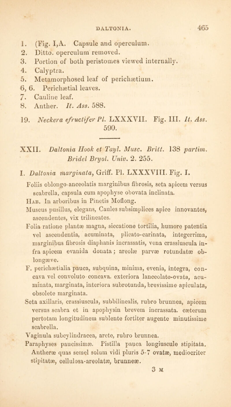 1. (Fig. I, A. Capsule and operculum. 2. Ditto, operculum removed. 3. Portion of both peristomes viewed internally. 4. Calyptra. 5. Metamorphosed leaf of perichaetium. 6. 6. Perichaetial leaves. 7. Cauline leaf. 8. Anther. It. Ass. 588. 19. Neckera efructifer PI. LXXXYII. Fig. III. It. Ass. 590. XXII. Daltonia Hook et Tayl. Muse. Britt. 138 partim. Bridel Bryol. Univ. 2. 255. I. Daltonia marginata, Griff. FI. LXXXVIII. Fig. I. Foliis oblongo-anceolatis marginibus fibrosis, seta apicem versus scabrella, capsula cum apophyse obovata inelinata. Hab. In avboribus in Pinetis Moflong. Museus pusillus, elegans, Caules subsimplices apice innovantes, ascendentes, vix trilineates. Folia ratione plantae magna, siccatione tortilia, humore patentia vel ascendentia, acuminata, plicato-carinata, integerrima, marginibus fibrosis diaphanis incrassatis, vena crassiuscula in- fra apicem evanida donata; areolae parvae rotundatae ob- longseve. F. periclisetialia pauca, subquina, minima, evenia, integra, con- cava vel convoluto concava. exteriora lanceolato-ovata, acu- minata, marginata, interiora subrotunda, brevissime apiculata, obsolete marginata. Seta axillaris, crassiuscula, subbilinealis, rubro brunnea, apicem versus scabra et in apophysin brevem incrassata. caeterum pertotam longitudinem sublente fortiter augente minutissime scabrella. Vaginula subcylindracea, arete, rubro brunnea. Paraphyses paucissinne. Pistilla pauca longiuscule stipitata. Antherae quas semel solum vidi pluris 5-7 ovatae, mediocriter stipitatae, cellulosa-areolatee, brunnese. 3 M