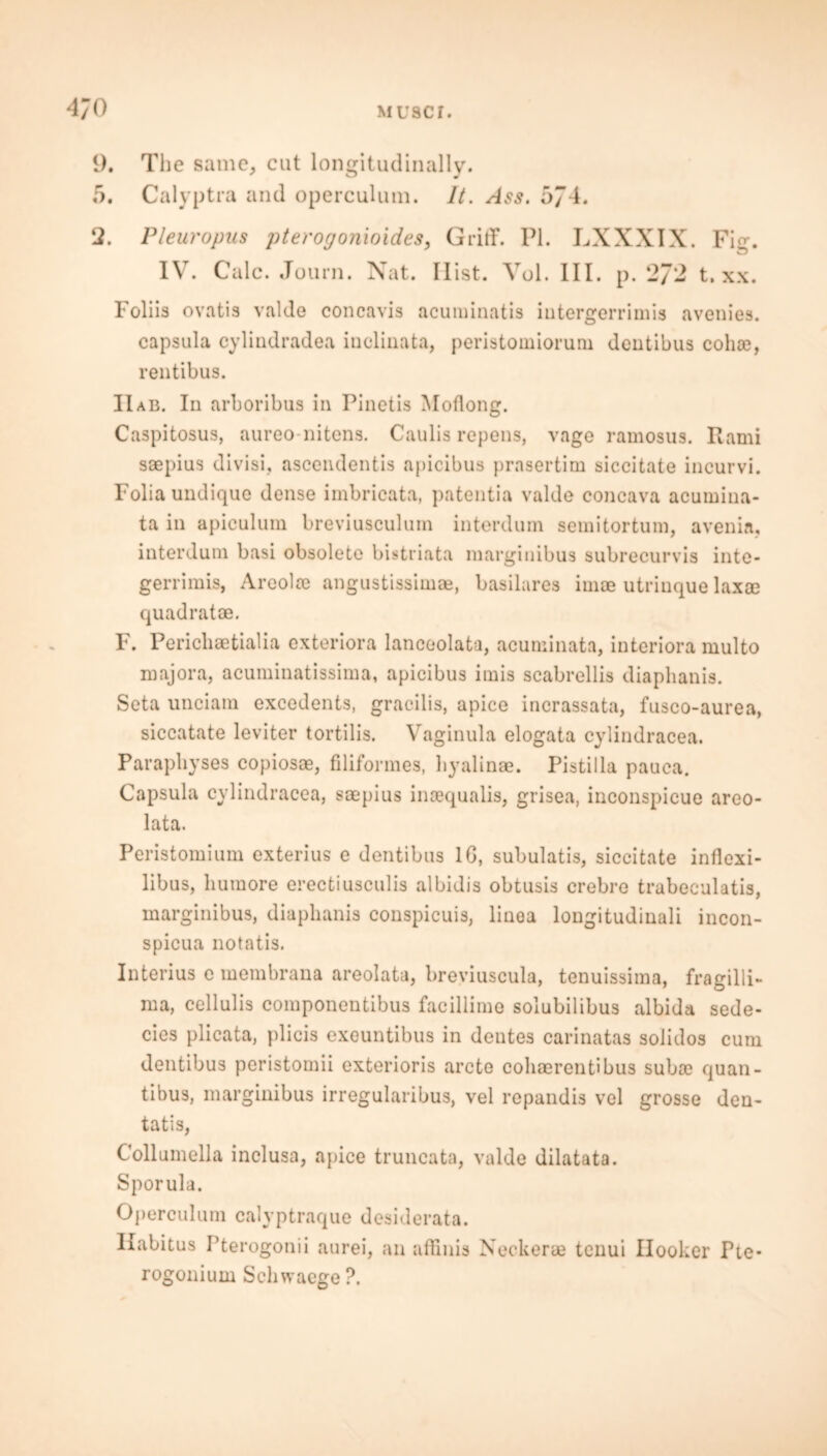 9. The same, cut longitudinally. 5. Calyptra and operculum. It. Ass. 574. 2. Pleuropus pterogonioides, GritF. PI. LXXXIX. Fio-. IV. Calc. Journ. Nat. Hist. Vol. III. p. 2/2 t. xx. Foliis ovatis valde concavis acuminatis iutergerrimis avenies. capsula cylindradea iuclinata, peristomiorum dentibus coliae, rentibus. IIab. Iii arboribus in Pinetis Moflong. Caspitosus, aureo nitens. Caulis repens, vage ramosus. Rami saepius divisi, aseendentis apicibus prasertim siccitate incurvi. Folia undique dense imbricata, patentia valde concava acumina- ta in apiculum breviusculum interdum semitortum, avenia, interdum basi obsolete bistriata marginibus subrecurvis inte- gerrimis, Areoloe angustissimae, basilares imae utriuque laxce quadrat ae. F. Pericliaetialia exteriora lanceolata, acuminata, interiora multo majora, acuminatissima, apicibus imis scabrellis diaphanis. Seta unciam excedents, gracilis, apice incrassata, fusco-aurea, siccatate leviter tortilis. Vaginula elogata cylindracea. Parapliyses copiosae, filiformes, hyalinae. Pistilla pauca. Capsula cylindracea, scepius insequalis, grisea, inconspicue areo- lata. Peristomium exterius e dentibus 1G, subulatis, siccitate inflexi- libus, liumore erectiusculis albidis obtusis crebre trabeculatis, marginibus, diaphanis conspicuis, liuoa longitudinali incon- spicua notatis. Interius e membrana areolata, breviuscula, tenuissima, fragilli- ma, cellulis componentibus facillime solubilibus albida sede- cies plicata, plicis exeuntibus in dentes carinatas solidos cum dentibus peristomii exterioris arete cohaerentibus suba? quan- tibus, marginibus irregularibus, vel repandis vel grosse den- tatis, Collumella inclusa, apice truncata, valde dilatata. Sporula. Operculum calyptraque desiderata. Habitus Pterogonii aurei, an affinis Nec-kerae tenui Hooker Pte* rogonium Schwaege?.