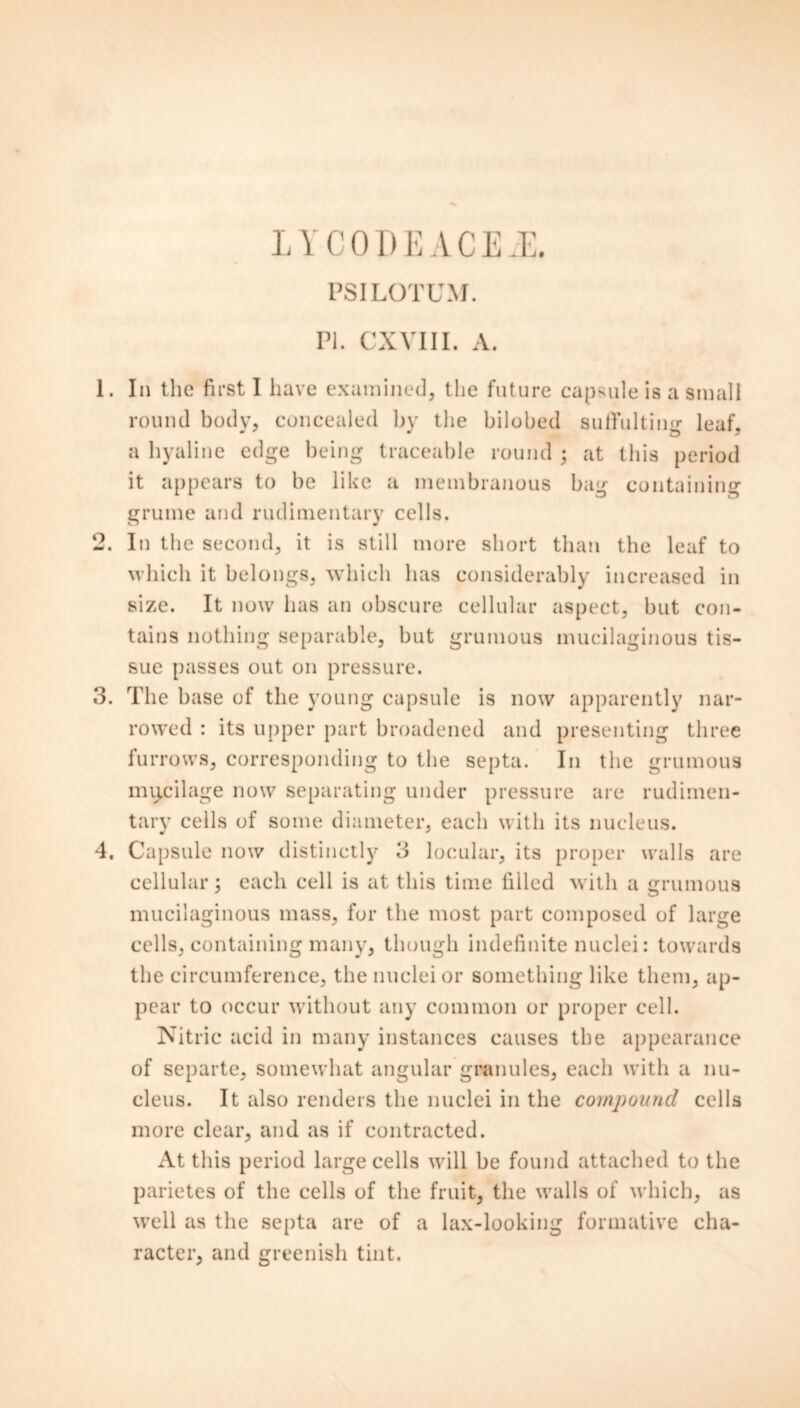 PSILOTUM. PI. CXVIII. A. 1. In the first I have examined, the future capsule is a small round body, concealed by the bilobed suffulting leaf, a hyaline edge being traceable round ; at this period it appears to be like a membranous bag containing grume and rudimentary cells. 2. In the second, it is still more short than the leaf to which it belongs, which has considerably increased in size. It now has an obscure cellular aspect, but con- tains nothing separable, but grumous mucilaginous tis- sue passes out on pressure. 3. The base of the young capsule is now apparently nar- rowed : its upper part broadened and presenting three furrows, corresponding to the septa. In the grumous miycilage now separating under pressure are rudimen- tary cells of some diameter, each with its nucleus. 4. Capsule now distinctly 3 locular, its proper walls are cellular; each cell is at this time filled with a grumous mucilaginous mass, for the most part composed of large cells, containing many, though indefinite nuclei: towards the circumference, the nuclei or something like them, ap- pear to occur without any common or proper cell. Nitric acid in many instances causes the appearance of separte, somewhat angular granules, each with a nu- cleus. It also renders the nuclei in the compound cells more clear, and as if contracted. At this period large cells will be found attached to the parietes of the cells of the fruit, the walls of which, as well as the septa are of a lax-looking formative cha- racter, and greenish tint.