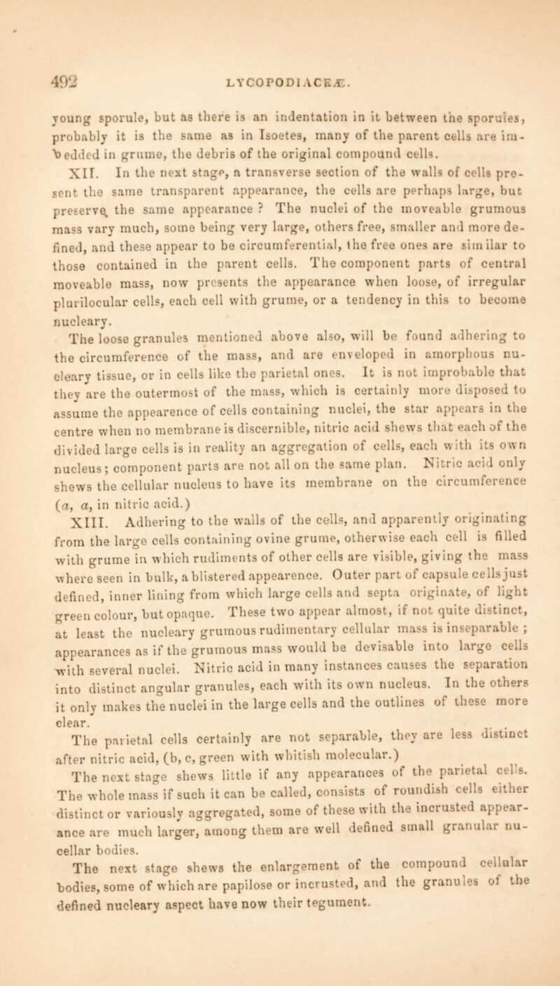 voung sporule, but as there is an indentation in it between the sporuies, probably it is the same as in Isoetes, many of the parent cells are im- bedded in grume, the debris of the original compound cells. XU. In the next stage, a transverse section of the walls of cells pre- sent the same transparent appearance, the cells are perhaps large, but preserve, the same appearance ? The nuclei of the moveable grumous mass vary much, some being very large, others free, smaller and more de- fined, and these appear to be circumferential, the free ones are similar to those contained in the parent cells. The component parts of central moveable mass, now presents the appearance when loose, of irregular plurilocular cells, each cell with grume, or a tendency in this to become nucleary. The loose granules mentioned above also, will be found adhering to the circumference of the mass, and are enveloped in amorphous nu- cleary tissue, or in cells like the parietal ones. It is not improbable that they are the outermost of the mass, which is certainly more disposed to assume the appearence of cells containing nuclei, the star appears in the centre when no membrane is discernible, nitric acid shews that each of the divided large cells is in reality an aggregation of cells, each with its own nucleus; component parts are not all on the same plan. Nitric acid only shews the cellular nucleus to have its membrane on the circumference (a, a, in nitric acid.) XIII. Adhering to the walls of the cells, and apparently originating from the large cells containing ovine grume, otherwise each cell is filled with grume in which rudiments of other cells are visible, giving the mass where seen in bulk, a blistered appearence. Outer part of capsule cells just defined, inner lining from which large cells and septa originate, of light green colour, but opaque. These two appear almost, if not quite distinct, at least the nucleary grumous rudimentary cellular mass is inseparable ; appearances as if the grumous mass would be devisable into large cells with several nuclei. Nitric acid in many instances causes the separation into distinct angular granules, each with its own nucleus. In the others it only makes the nuclei in the large cells and the outlines of these more clear. The parietal cells certainly are not separable, they are less distinct after nitric acid, (b, c, green with whitish molecular.) The next stage shews little if any appearances of the parietal cells. The whole mass if such it can be called, consists of roundish cells either distinct or variously aggregated, some of these with the incrusted appear- ance are much larger, among them are well defined small granular nu- cellar bodies. The next stage shews the enlargement of the compound cellular bodies, some of which are papilose or incrusted, and the granules of the defined nucleary aspect have now their tegument.