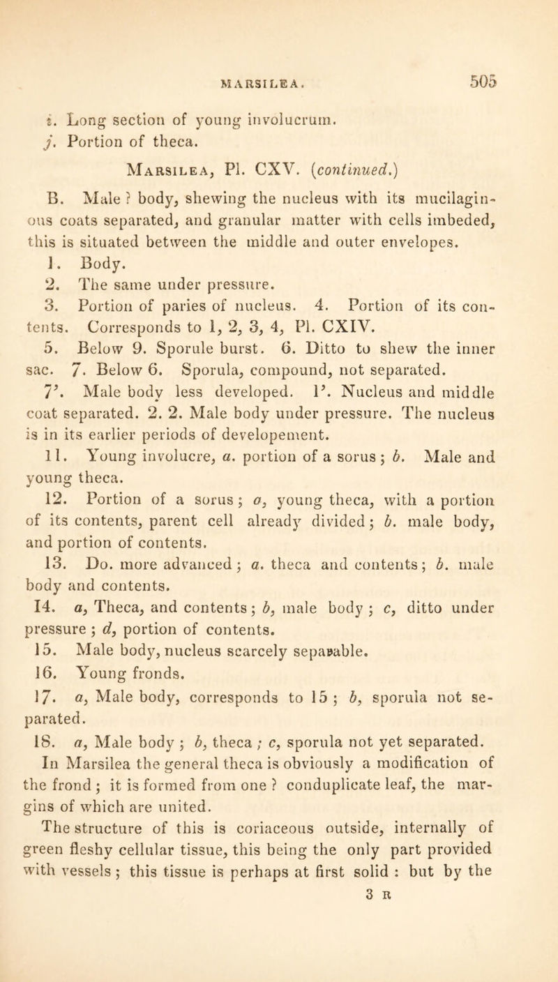i. Long section of young involucrutn. j. Portion of theca. Marsilea, PI. CXV. (continued.) B. Male ? body, shewing the nucleus with its mucilagin- ous coats separated, and granular matter with cells imbeded, this is situated between the middle and outer envelopes. 1. Body. 2. The same under pressure. 3. Portion of paries of nucleus. 4. Portion of its con- tents. Corresponds to 1, 2, 3, 4, PI. CXIV. 5. Below 9. Sporule burst. 6. Ditto to shew the inner sac. 7* Below 6. Sporula, compound, not separated. 7\ Male body less developed. 1\ Nucleus and middle coat separated. 2. 2. Male body under pressure. The nucleus is in its earlier periods of developement. 11. Young involucre, a. portion of a sorus; h. Male and young theca. 12. Portion of a sorus ; a3 young theca, with a portion of its contents, parent cell already divided; b. male body, and portion of contents. 13. Do. more advanced; a. theca and contents; b. male body and contents. 14. a, Theca, and contents; b, male body ; c, ditto under pressure ; d, portion of contents. 15. Male body, nucleus scarcely separable. 16. Young fronds. 17* o, Male body, corresponds to 15 ; 5, sporula not se- parated. 18. a, Male body ; b} theca ; c, sporula not yet separated. In Marsilea the general theca is obviously a modification of the frond ; it is formed from one ? conduplicate leaf, the mar- gins of which are united. The structure of this is coriaceous outside, internally of green fleshy cellular tissue, this being the only part provided with vessels ; this tissue is perhaps at first solid : but by the 3 it