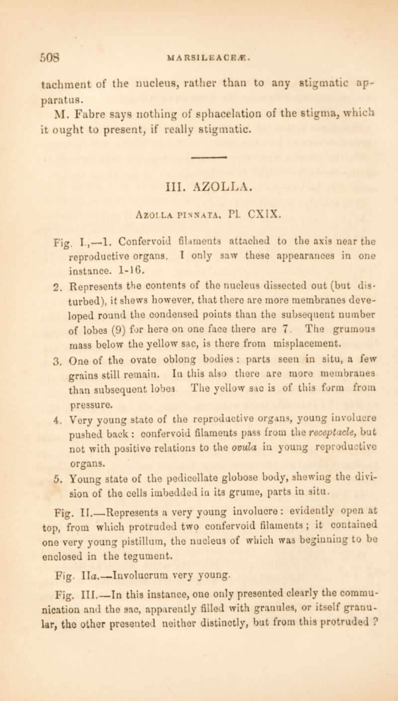 tachment of the nucleus, rather than to any stigmatic ap- paratus. M. Fabre says nothing of sphacelation of the stigma, which it ought to present, if really stigmatic. III. AZOLLA. Azoi la pinnata, PI. CXIX. pjfr j —1, Confervoid filaments attached to the axis near the D ’ ' reproductive organs. I only saw these appearances in one instance. 1-lG. 2. Represents the contents of the nucleus dissected out (but dis- turbed), it shows however, that there are more membranes deve- loped round the condensed points than the subsequent number of lobes (9) for here on one face there are 7. The gruinous mass below the yellow sac, is there from misplacement. 3. One of the ovate oblong bodies : parts seen in situ, a few grains still remain. In this also there are more membranes than subsequent lobes The yellow sac is of this form from pressure. 4. Very young state of the reproductive organs, young involucre pushed back : confervoid filaments pass from the receptacle, but not with positive relations to the ovula in young reproductive organs. 5. Young state of the pedicellate globose body, shewing the divi- sion of the cells imbedded in its grume, parts in situ. Fig. II.—Represents a very young involucre: evidently open at top, from which protruded two confervoid filaments ; it contained one very young pistillum, the nucleus of which was beginning to be enclosed in the tegument. Fig. Ila.—Involucrum very young. Fig. III.—In this instance, one only presented clearly the commu- nication and the sac, apparently filled with granules, or itself granu- lar, the other presented neither distinctly, but troin this protruded ?