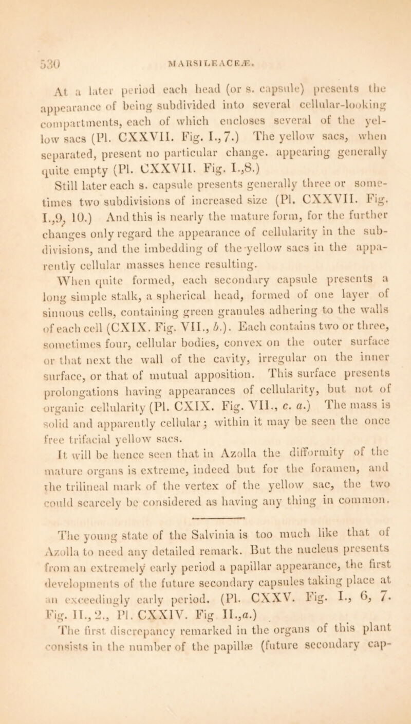 At a later period each head (or s. capsule) presents the appearance of being subdivided into several cellular-looking compartments, each of which encloses several of the yel- low sacs (PI. CXX\ II. Fig. I., 7*) The yellow sacs, when separated, present no particular change, appearing generally quite empty (PI. CXXVII. Fig. I.,8.) Still later each s. capsule presents generally three or some- times two subdivisions of increased size (PI. CXXVII. I' ig. I.,9, 10.) And this is nearly the mature form, for the further changes only regard the appearance of cellularity in the sub- divisions, and the imbedding of the-yellow sacs in the appa- rently cellular masses hence resulting. When quite formed, each secondary capsule presents a long simple stalk, a spherical head, formed of one layer of sinuous cells, containing green granules adhering to the walls of each cell (CXIX. Fig. VII., 5.). Each contains two or three, sometimes four, cellular bodies, convex on the outer surface or that next the wall of the cavity, irregular on the inner surface, or that of mutual apposition. 1 his surface presents prolongations having appearances of cellularity, but not of organic cellularity (PI. CXIX. Fig. VIE, c. a.) The mass is solid and apparently cellular; within it may be seen the once free trifacial yellow sacs. It will be hence seen that in Azolla the difformity of the mature organs is extreme, indeed but for the foramen, and xhe trilineal mark of the vertex of the yellow sac, the two could scarcely be considered as having any thing in common. The young state of the Salvinia is too much like that of Azolla to need any detailed remark. But the nucleus presents from an extremely early period a papillar appearance, the first developments of the future secondary capsules taking place at m exceedingly early period. (PI. CXXV . Fig. I., G, 7. Fig. IT.,2.j PI. CXX1V. Fig II.,a.) The first, discrepancy remarked in the organs of this plant consists in the number of the papillae (future secondary cap-