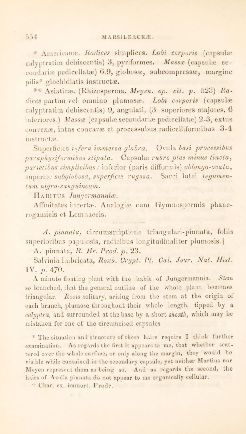 ' Arne* icanne. Radices simplicea. Lobi corporis (capsular calv[)tratim dehiscentis) 3, pyriformes. Masses, (capsular se- cundaria' pedicellate) (>.9, globose, subcompressae, margine I>i 1 isy glochidiatis instruct*. ‘ Asiatic*. (Rhizosperma. Mryen. op. cit. p. 523) Ra- dices partial vcl omnino plumos*. Lobi corporis (capsular calyptratiui debiscentis) 9, angulati, (3 superiores majores, 0 inforiores.) Massie (capsuhe secondari* pcdiccllatar) 2-3, extus convex#, intus concav* et processubus radicelliformibus 3-4 instruct#. Superficies infer a immersa glabra. Ovula basi processibus paruphysifomnibus stipata. Capsuhe rnbro plus minus tincta, parielibus simplicibus; inferior (paris ditronnis) oblongo-ovala, superior subglobosa, superficie rugosa. Sacci lutei tegumen- t u m n ig r o - s a rig nine inn. Hahitus Jungcrmannice. Aftinitates incertae. Analogize cum Gymnospermis pliane- rogamicis ct Lcmnaccis. A. pinnata, circuniscriptione triangulari-pinnata, foliis sii[)erioribus papulosis, radicibus longitudinaliter phimosis.f A. pinnata, R. Ur. Prod. p. 23. Salvinia imbricata, Roxb. Crypt. PI. Cal. Jour. Nat. Hist. iv. p. 470. A minute floating plant with the habit of Jungermannia. Stem so branched, that the general outline of the whole plant becomes triangular. Roots solitary, arising from the stem at the origin ot each branch, plumose throughout their whole length, tipped by a calgptra, and surrounded at the base by a short sheath, which may be mistaken for one of the circumcised capsules * The situation and structure of these hairs require I think further examination. As regards the first it appears to me, that whether scat- tered over the whole surface, or only along the margin, they would be visible while contained in the secondary capsule, yet neither Martius nor Meyen represent them as being so. And as regards the second, the hairs of Azolla pinnata do not appear to me organically cellular. t Char. ex. immort. Prodr.