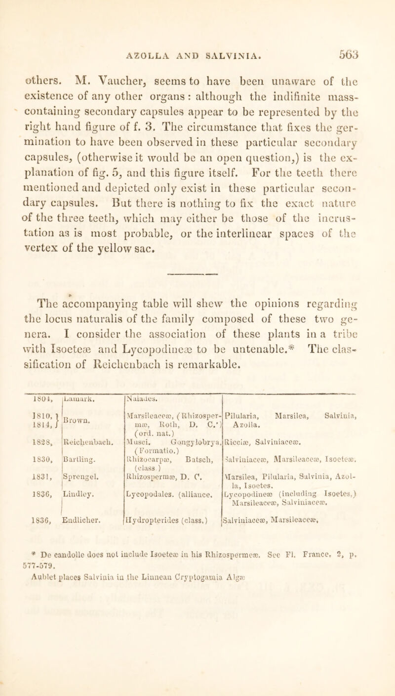 others. M. Vaucher, seems to have been unaware of the existence of any other organs : although the indifinite mass- containing secondary capsules appear to be represented by the right hand figure of f. 3. The circumstance that fixes the ger- mination to have been observed in these particular secondary capsules, (otherwise it would be an open question,) is the ex- planation of fig. 5, and this figure itself. For the teeth there mentioned and depicted only exist in these particular secon- dary capsules. But there is nothing to fix the exact nature of the three teeth, which may either be those of the incrus- tation as is most probable, or the interlinear spaces of the vertex of the yellow sac. > The accompanying table will shew the opinions regarding the locus naturalis of the family composed of these two ge- nera. I consider the association of these plants in a tribe with Isoeteae and Lycopodineae to be untenable.* The clas- sification of Reiclienbach is remarkable. 1801, Lamark. Naiades. 1810, 1 1814, / Brown. Marsileaceas, (Rhizosper- ma;, Roth, D. C.') (ord. nat.) 1828, Reiclienbach. Musci. Gangy lobrya, ( Forraatio.) 1830, Bartling. Rhizocarpae, Batsch, (class ) 1831, Sprengel. Rhizosperraae, D. C. 1830, Lindley. Lycopodales. (alliance. 1836, Endlicher. llydropterides (class.) Pilularia, Marsilea, Salvinia, Azolla. Riccise, Salviniaeece. ■Salviniacea;, Marsileaceae, Isoctese, Uarsilea, Pilularia, Salvinia, Azol- la, Isoetes. Lycopodinese (including Isoetes,) Marsileaceae, Salviniacea;. Salviniacea;, Marsileacese, * Do Candolle does not include Isoeteac in his Rhizospermeoe. See FI. France. 2, p. 577-579. Aublet places Salvinia in the Liuncan Cryptogamia Algrc