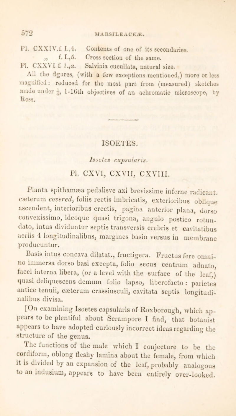 PI. CXXIV.f. I.,4. Contents of one of its secondaries. ,, f. I.,5. Cross section of the same. PI. CXX\ I.t. I.,a. Salvinia cueullata, natural size. All the figures, (with a few exceptions mentioned,) more or less magnified: reduced lor the most part from (measured) sketches made under 1 -1Cth objectives of an achromatic microscope, by Ross. ISOETES, Jsuetes capsularis. PI. CXVI, CXY1I, CXVIII. Planta spithamsea pedalisve axi brevissime inferne radicant, caeterum covered, foliis rectis imbricatis, exterioribus oblique ascendent, interioribus erectis, pagina anterior plana, dorso convexissimo, ideoque quasi trigona, angulo postico rotun- dato, intus dividuntur septis transversis crebris et cavitatibus aeriis 4 longitudinalibus, margines basin versus in membrane producuntur. Basis intus concava dilatat., fructigera. Fructus fere omni- no immersa dorso basi excepta, folio secus centrum adnato, facei interna libera, (or a level with the surface of the leaf.) quasi deliquescens demuni folio lapso, liberofacto : parietes antice tenuii, Cceterum crassiusculi, cavitata septis longitudi- nalibus divisa. [On examining Isoetes capsularis of Roxborough, which ap- pears to be plentiful about Serampore I find, that botanist appears to have adopted curiously incorrect ideas regarding the structure of the genus. 4 he functions of the male which I conjecture to be the coidiform, oblong fleshy lamina about the female, from which it is divided by an expansion of the leaf, probably analogous to an indusium, appears to have been entirely over-looked.