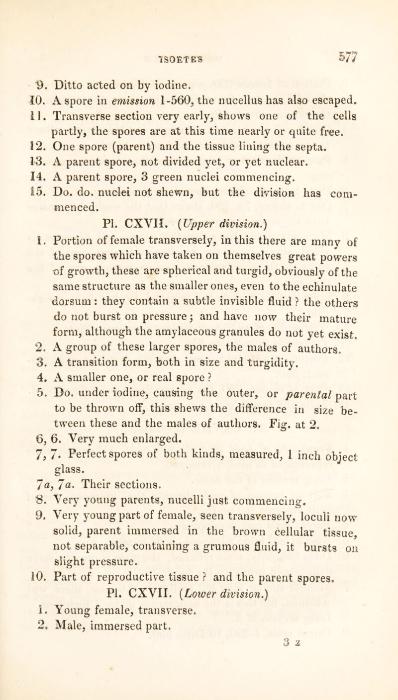 £77 4). Ditto acted on by iodine. 10. A spore in emission 1-560,, the nucellus has also escaped. 11. Transverse section very early, shows one of the cells partly, the spores are at this time nearly or quite free. 12. One spore (parent) and the tissue lining the septa. 13. A parent spore, not divided yet, or yet nuclear. 14. A parent spore, 3 green nuclei commencing. 15. Do. do. nuclei not shewn, but the division has com- menced. PI. CXVII. (Upper division.) 1. Portion of female transversely, in this there are many of the spores which have taken on themselves great powers of growth, these are spherical and turgid, obviously of the same structure as the smaller ones, even to the echinulate dorsum: they contain a subtle invisible fluid ? the others do not burst on pressure; and have now their mature form, although the amylaceous granules do not yet exist, 2. A group of these larger spores, the males of authors. 3. A transition form, both in size and turgidity. 4. A smaller one, or real spore ? 5. Do. under iodine, causing the outer, or parental part to be thrown off, this shews the difference in size be- tween these and the males of authors. Fig. at 2. 6. 6. Very much enlarged. 7. 7* Perfect spores of both kinds, measured, 1 inch object glass. Ja, la. Their sections. S. Very young parents, nucelli just commencing. 9. Very young part of female, seen transversely, loculi now solid, parent immersed in the brown cellular tissue, not separable, containing a grumous fluid, it bursts on slight pressure. 10. Part of reproductive tissue ? and the parent spores. PI. CXVII. (Lower division.) 1. Young female, transverse. 2, Male, immersed part. 3 z