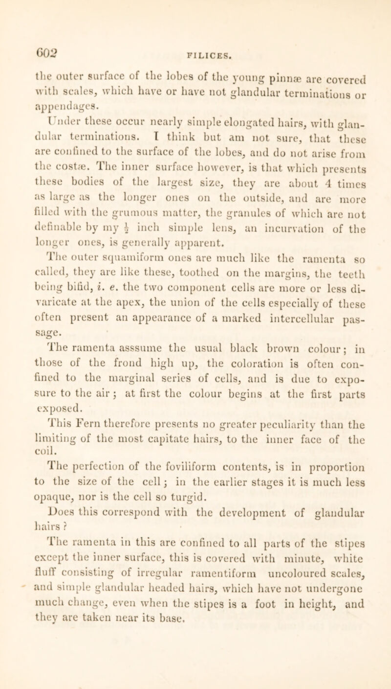 the outer surface of the lobes of the young pinnae are covered with scales, which have or have not glandular terminations or append ages. I nder these occur nearly simple elongated hairs, with glan- dular terminations. I think but am not sure, that these are confined to the surface of the lobes, and do not arise from the cost;e. The inner surface however, is that which presents these bodies of the largest size, they are about 4 times as large as the longer ones on the outside, and are more filled with the grumous matter, the granules of which are not definable by my h inch simple lens, an incurvation of the longer ones, is generally apparent. The outer squamiform ones are much like the ramenta so called, they are like these, toothed on the margins, the teeth being bifid, i. e. the two component cells are more or less di- varicate at the apex, the union of the cells especially of these often present an appearance of a marked intercellular pas- sage. The ramenta asssume the usual black brown colour; in those of the frond high up, the coloration is often con- fined to the marginal series of cells, and is due to expo- sure to the air ; at first the colour begins at the first parts exposed. This Fern therefore presents no greater peculiarity than the limiting of the most capitate hairs, to the inner face of the coil. The perfection of the foviliform contents, is in proportion to the size of the cell; in the earlier stages it is much less opaque, nor is the cell so turgid. Does this correspond with the development of glandular hairs ? The ramenta in this are confined to all parts of the stipes except the inner surface, this is covered with minute, white fiufi consisting of irregular ramentiform uncoloured scales, and simple glandular headed hairs, which have not undergone much change, even when the stipes is a foot in height, and they are taken near its base.