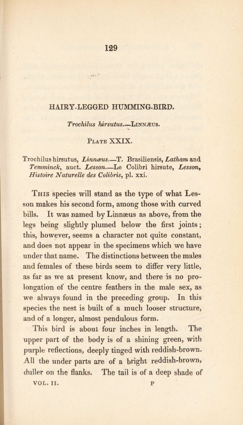 » HAIRY-LEGGED HUMMING-BIRD, Trochilus hirsutus.^LimiJEva. Plate XXIX. Trochilus hirsutus, Linnaeus.—T. Brasiliensis, Latham and Temminck, auct. Lesson.—Le Colibri hirsute, Lesson, Histoire Naturelle des Colibris, pi. xxi. This species will stand as the type of what Les- son makes his second form, among those with curved bills. It was named by Linnaeus as above, from the legs being slightly plumed below the first joints; this, however, seems a character not quite constant, and does not appear in the specimens which we have under that name. The distinctions between the males and females of these birds seem to differ very little, as far as we at present know, and there is no pro- longation of the centre feathers in the male sex, as we always found in the preceding group. In this species the nest is built of a much looser structure, and of a longer, almost pendulous form. This bird is about four inches in length. The upper part of the body is of a shining green, with purple reflections, deeply tinged with reddish-brown. All the under parts are of a bright reddish-brown, duller on the flanks. The tail is of a deep shade of VOL. II. p