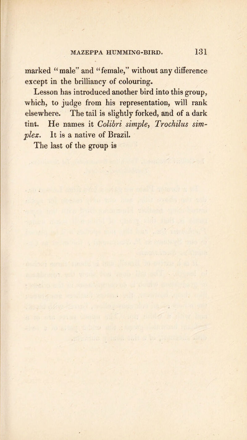 marked “male” and “female,” without any difference except in the brilliancy of colouring. Lesson has introduced another bird into this group, which, to judge from his representation, will rank elsewhere. The tail is slightly forked, and of a dark tint. He names it Colibri simple, Trochilus sim- plex. It is a native of Brazil. The last of the group is
