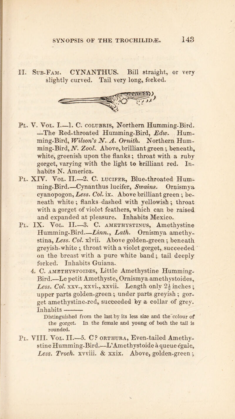 II. Sub-Fam. CYNANTHUS. Bill straight, or very slightly curved. Tail very long, forked. Pl. V. Vol. I—1. C. colubris, Northern Humming-Bird. —The Red-throated Humming-Bird, Edw. Hum- ming-Bird, Wilson's 1W A. Ornith. Northern Hum- ming-Bird, N. Zool. Above, brilliant green; beneath, white, greenish upon the flanks; throat with a ruby gorget, varying with the light to brilliant red. In- habits N. America. Pl. XIY. Yol. II.—2. C. lucifer, Blue-throated Hum- ming-Bird.—Cynanthus lucifer, Swains. Ornismya cyanopogon, Less. Col. ix. Above brilliant green ; be- neath white; flanks dashed with yellowish; throat with a gorget of violet feathers, which can be raised and expanded at pleasure. Inhabits Mexico. Pl. IX. Vol. II.—3. C. amethystinus, Amethystine Humming-Bird—Linn., Lath. Ornismya amethy- stina, Less. Col. xlvii. Above golden-green; beneath greyish-white ; throat with a violet gorget, succeeded on the breast with a pure white band; tail deeply forked. Inhabits Guiana. 4. C. amethystoides, Little Amethystine Humming- Bird..—Le petit Amethyste, Ornismya amethystoides. Less. Col. xxv., xxvi., xxvii. Length only 2^ inches; upper parts golden-green ; under parts greyish ; gor- get amethystine-red, succeeded by a collar of grey. Inhabits — Distinguished from the last by its less size and the colour of the gorget. In the female and young of both the tail is rounded. Pl. VIII. Yol. II.—5. C? orthura, Even-tailed Amethy- stine Humming-Bird—L’Amethystoide a queue egale. Less. Troch. xvviii. & xxix. Above, golden-green ;