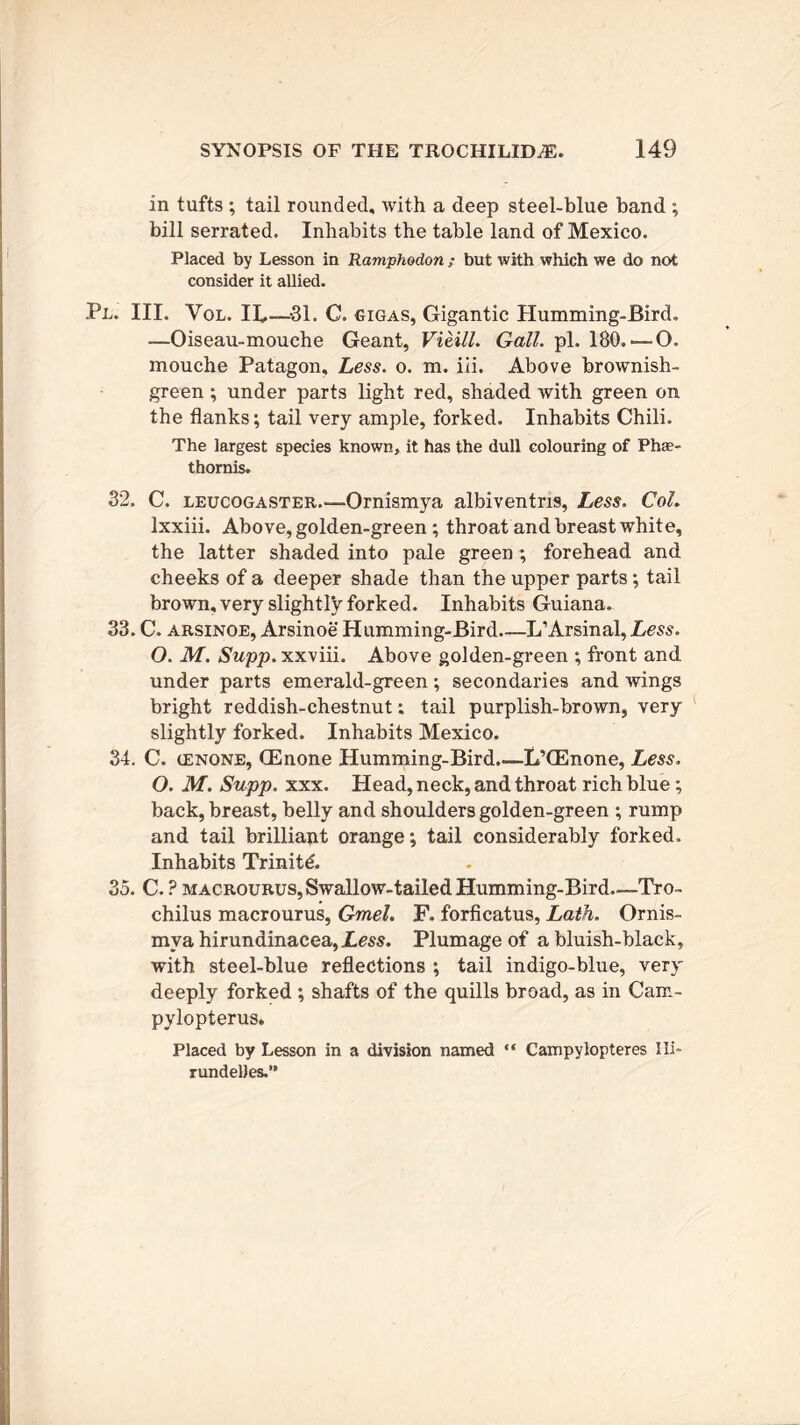 in tufts ; tail rounded, with a deep steel-blue band ; bill serrated. Inhabits the table land of Mexico. Placed by Lesson in Ramphodon ; but with which we do not consider it allied. Pl. III. Vol. IL—-31. C. gigas, Gigantic Humming-Bird. —Oiseau-mouche Geant, Vie.Ul. Gall. pl. 180. — O. mouche Patagon, Less. o. m. iii. Above brownish- green ; under parts light red, shaded with green on the flanks; tail very ample, forked. Inhabits Chili. The largest species known, it has the dull colouring of Pha?- thomis. 32. C. leucogaster.—Ornismya albiventns, Less. Col. lxxiii. Above, golden-green ; throat and breast white, the latter shaded into pale green ; forehead and cheeks of a deeper shade than the upper parts; tail brown, very slightly forked. Inhabits Guiana. 33. C. arsinoe, Arsinoe Humming-Bird—L’Arsinal, Less. O. M. Supp. xxviii. Above golden-green ; front and under parts emerald-green; secondaries and wings bright reddish-chestnut; tail purplish-brown, very slightly forked. Inhabits Mexico. 34. C. cenone, (Enone Humming-Bird.—LTEnone, Less. O. M. Supp. xxx. Head, neck, and throat rich blue; back, breast, belly and shoulders golden-green ; rump and tail brilliant orange; tail considerably forked. Inhabits Trinitd. 35. C. ? macrourus, Swallow-tailed Humming-Bird—Tro- chilus macrourus, Gmel. F. forficatus, Lath. Ornis- mya hirundinacea,jLm. Plumage of a bluish-black, with steel-blue reflections ; tail indigo-blue, very deeply forked ; shafts of the quills broad, as in Cam- pylopterus. Placed by Lesson in a division named “ Campylopteres Hi- rundelies.”