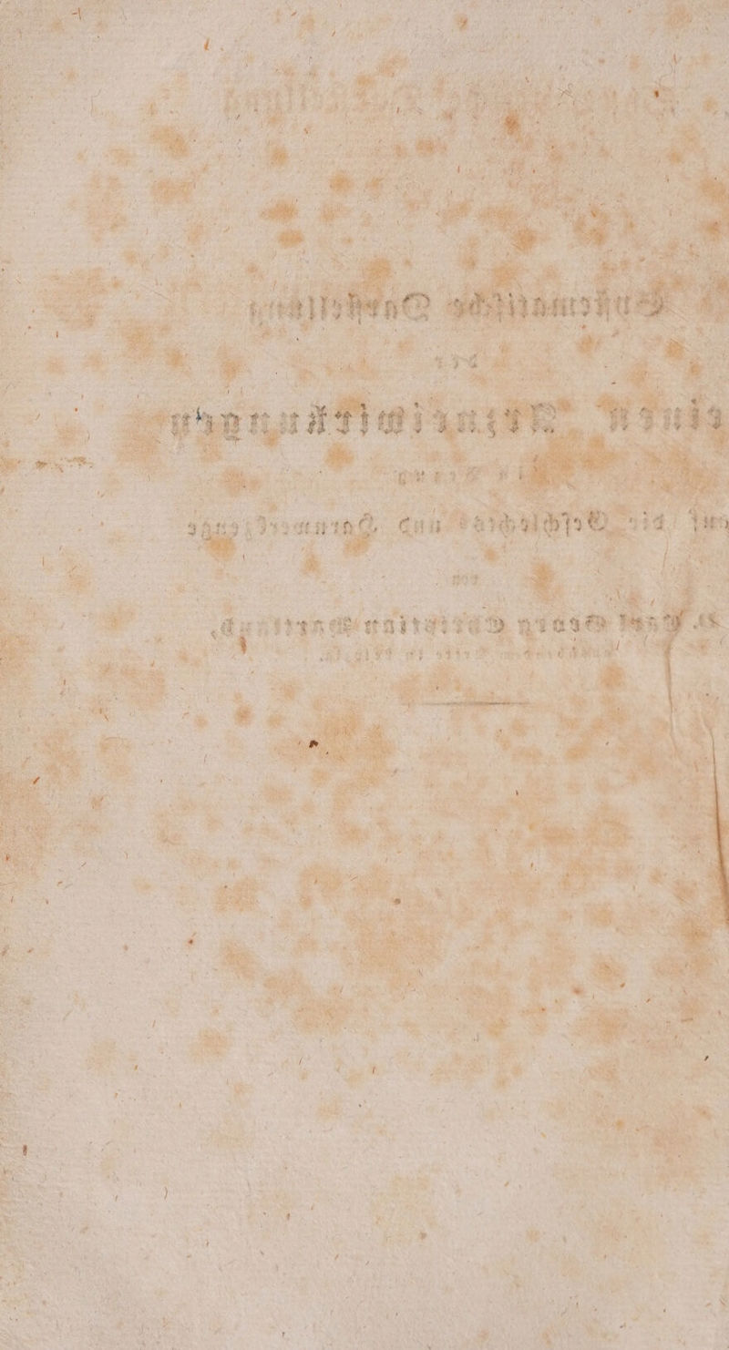 ‘ HANES l 5 6 25 e 5 ar, iy nies sch te wan iy, ope oh Pas 5 + ers. | W