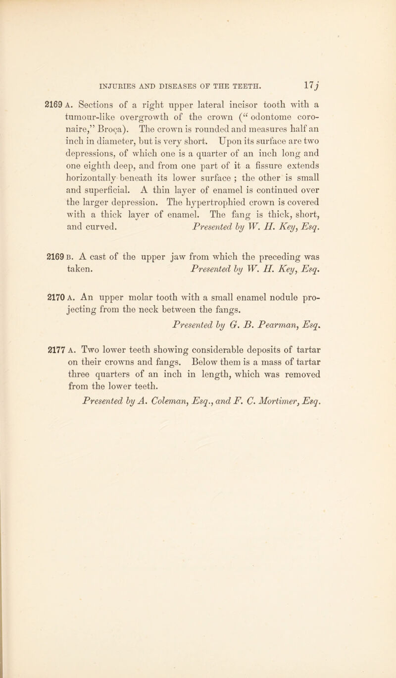 2189 A. Sections of a right upper lateral incisor tooth with a tumour-like overgrowth of the crown (“ odontome coro- naire,” Broca). The crown is rounded and measures half an inch in diameter, hut is very short. Upon its surface are two depressions, of which one is a quarter of an inch long and one eighth deep, and from one part of it a fissure extends horizontally beneath its lower surface ; the other is small and superficial. A thin layer of enamel is continued over the larger depression. The hypertrophied crown is covered with a thick layer of enamel. The fang is thick, short, and curved. Presented by W. H. Key, Esq. 2169 b. A cast of the upper jaw from which the preceding was taken. Presented by W. H. Key, Esq. 2170 A. An upper molar tooth with a small enamel nodule pro¬ jecting from the neck between the fangs. Presented by G. B. Pearman, Esq. 2177 A. Two lower teeth showing considerable deposits of tartar on their crowns and fangs. Below them is a mass of tartar three quarters of an inch in length, which was removed from the lower teeth.