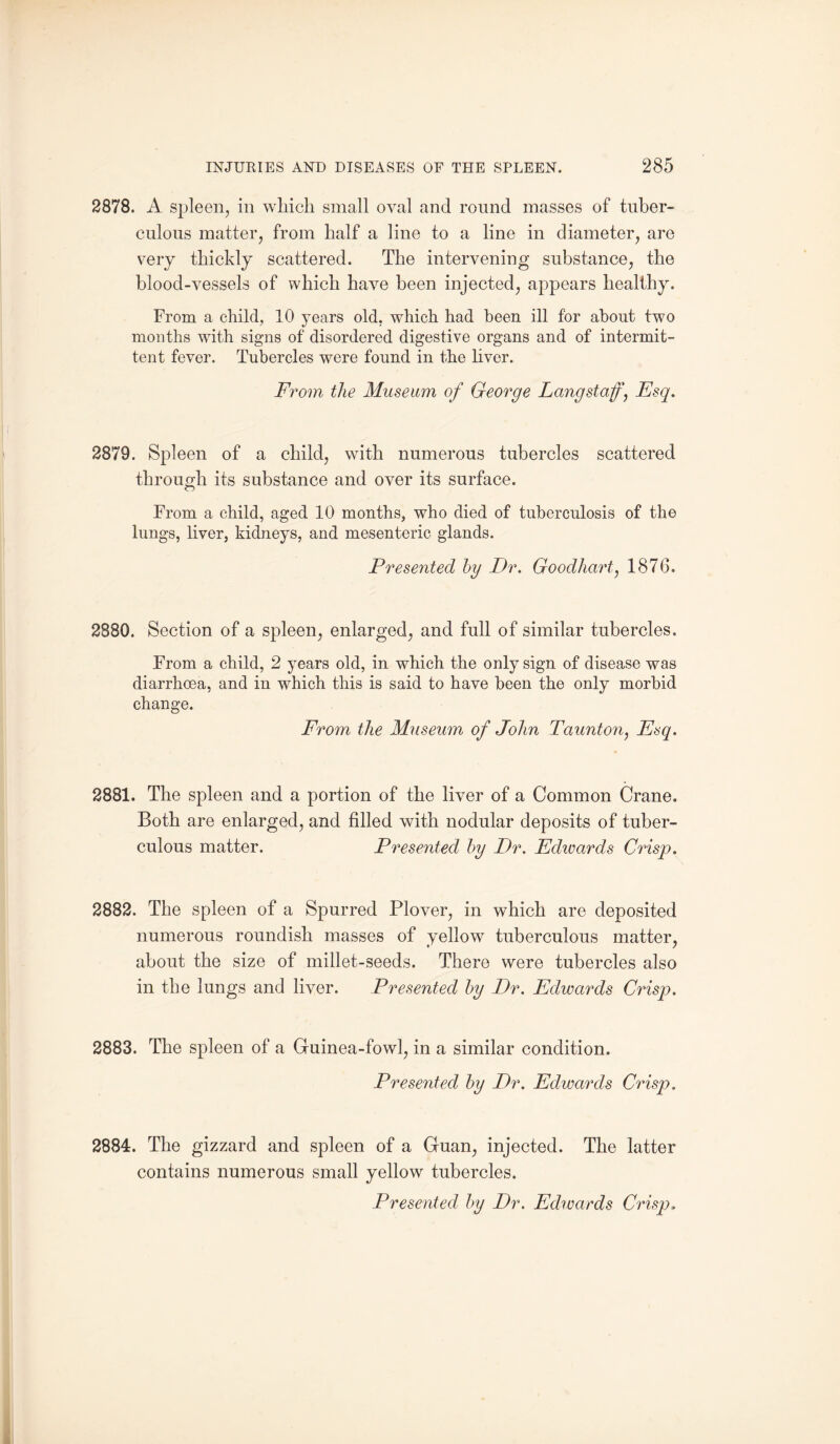 2878. A spleen, in which small oval and round masses of tuber¬ culous matter, from half a line to a line in diameter, are very thickly scattered. The intervening substance, the blood-vessels of which have been injected, appears healthy. From a child, 10 years old, which had been ill for about two months with signs of disordered digestive organs and of intermit¬ tent fever. Tubercles were found in the liver. From the Museum of George Langstaff, Esq. 2879. Spleen of a child, with numerous tubercles scattered throuodi its substance and over its surface. From a child, aged 10 months, who died of tuberculosis of the lungs, liver, kidneys, and mesenteric glands. Presented by Dr. Goodliart, 1876. 2880. Section of a spleen, enlarged, and full of similar tubercles. From a child, 2 years old, in which the only sign of disease was diarrhoea, and in which this is said to have been the only morbid change. From the Museum of John Taunton, Esq. 2881. The spleen and a portion of the liver of a Common Crane. Both are enlarged, and filled with nodular deposits of tuber¬ culous matter. Presented by Dr. Edwards Crisp. 2882. The spleen of a Spurred Plover, in which are deposited numerous roundish masses of yellow tuberculous matter, about the size of millet-seeds. There were tubercles also in the lungs and liver. Presented by Dr. Edwards Crisp. 2883. The spleen of a Guinea-fowl, in a similar condition. Presented by Dr. Edwards Crisp. 2884. The gizzard and spleen of a Guan, injected. The latter contains numerous small yellow tubercles. Presented by Dr. Edwards Crisp»