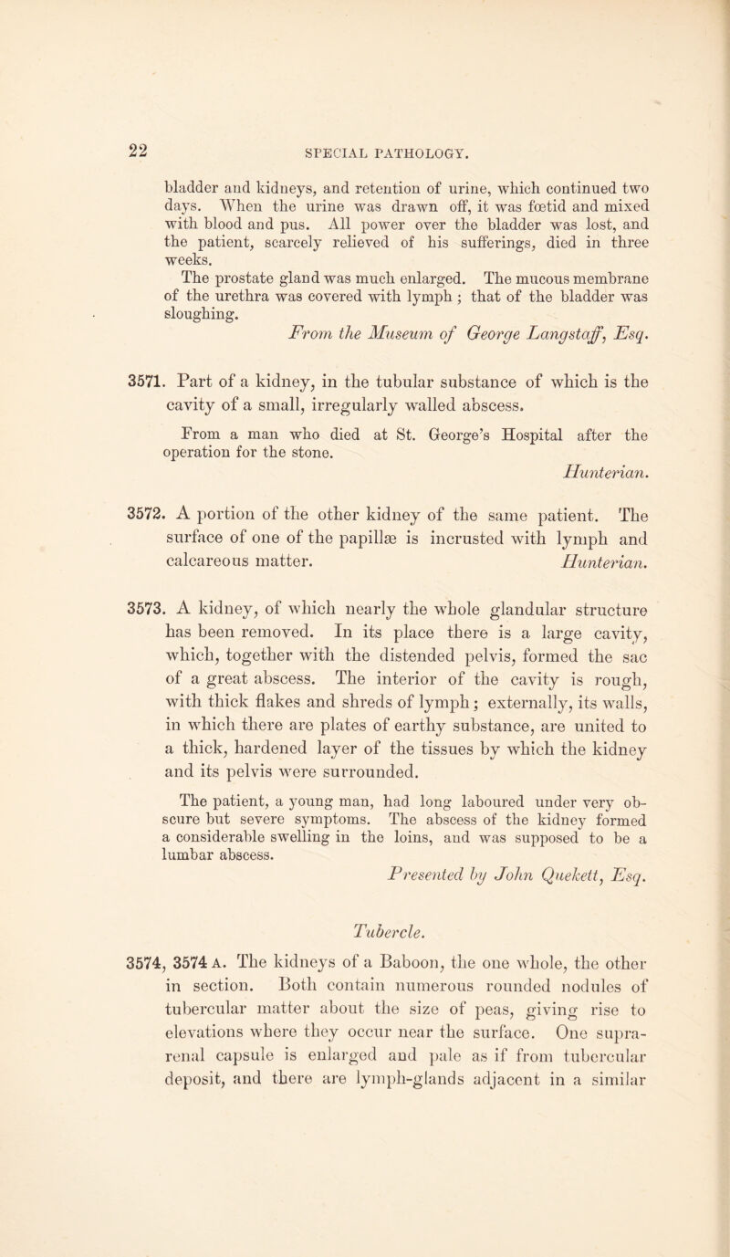 bladder and kidneys, and retention of urine, which continued two days. When the urine was drawn off, it was foetid and mixed with blood and pus. All power oyer the bladder was lost, and the patient, scarcely relieved of his sufferings, died in three weeks. The prostate gland was much enlarged. The mucous membrane of the urethra was covered with lymph ; that of the bladder was sloughing. From the Museum of George Langstajf, Esq. 3571. Part of a kidney, in the tubular substance of which is the cavity of a small, irregularly walled abscess. Prom a man who died at St. George’s Hospital after the operation for the stone. Hunterian. 3572. A portion of the other kidney of the same patient. The surface of one of the papillas is incrusted with lymph and calcareous matter. Hunterian. 3573. A kidney, of which nearly the whole glandular structure has been removed. In its place there is a large cavity, which, together with the distended pelvis, formed the sac of a great abscess. The interior of the cavity is rough, with thick flakes and shreds of lymph; externally, its walls, in which there are plates of earthy substance, are united to a thick, hardened layer of the tissues by which the kidney and its pelvis were surrounded. The patient, a young man, had long laboured under very ob¬ scure but severe symptoms. The abscess of the kidney formed a considerable swelling in the loins, and was supposed to be a lumbar abscess. Presented by John Quekett, Esq. Tubercle. 3574, 3574 A. The kidneys of a Baboon, the one whole, the other in section. Both contain numerous rounded nodules of tubercular matter about the size of peas, giving rise to elevations where they occur near the surface. One supra¬ renal capsule is enlarged and pale as if from tubercular deposit, and there are lymph-glands adjacent in a similar