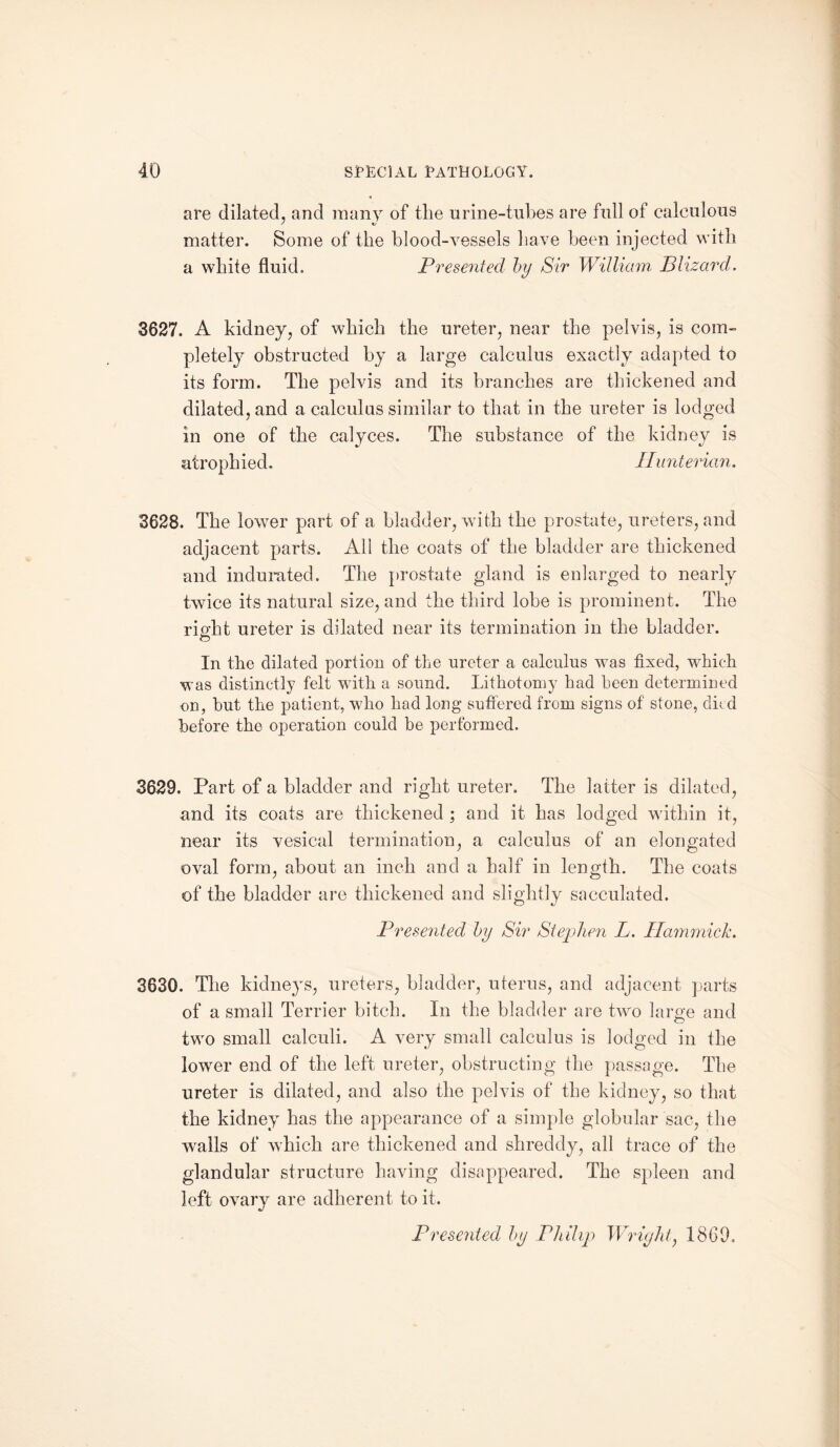 are dilated, and many of the urine-tubes are full of calculous matter. Some of the blood-vessels have been injected with a white fluid. Presented by Sir William Blizard. 3627. A kidney, of which the ureter, near the pelvis, is com¬ pletely obstructed by a large calculus exactly adapted to its form. The pelvis and its branches are thickened and dilated, and a calculus similar to that in the ureter is lodged in one of the calyces. The substance of the kidney is atrophied. Hunterian. 3628. The lower part of a bladder, with the prostate, ureters, and adjacent parts. All the coats of the bladder are thickened and indurated. The prostate gland is enlarged to nearly twice its natural size, and the third lobe is prominent. The right ureter is dilated near its termination in the bladder. In the dilated portion of the ureter a calculus was fixed, which was distinctly felt with a sound. Lithotomy had been determined on, hut the patient, who had long suffered from signs of stone, died before tho operation could be performed. 3629. Part of a bladder and right ureter. The latter is dilated, and its coats are thickened ; and it has lodged within it, near its vesical termination, a calculus of an elongated oval form, about an inch and a half in length. The coats of the bladder are thickened and slightly sacculated. Presented by Sir Stephen L. Hammick. 3630. The kidneys, ureters, bladder, uterus, and adjacent parts of a small Terrier bitch. In the bladder are two large and twro small calculi. A very small calculus is lodged in the lower end of the left ureter, obstructing the passage. The ureter is dilated, and also the pelvis of the kidney, so that the kidney has the appearance of a simple globular sac, the walls of which are thickened and shreddy, all trace of the glandular structure having disappeared. The spleen and left ovary are adherent to it. Presented by Philip Wright, 1869.